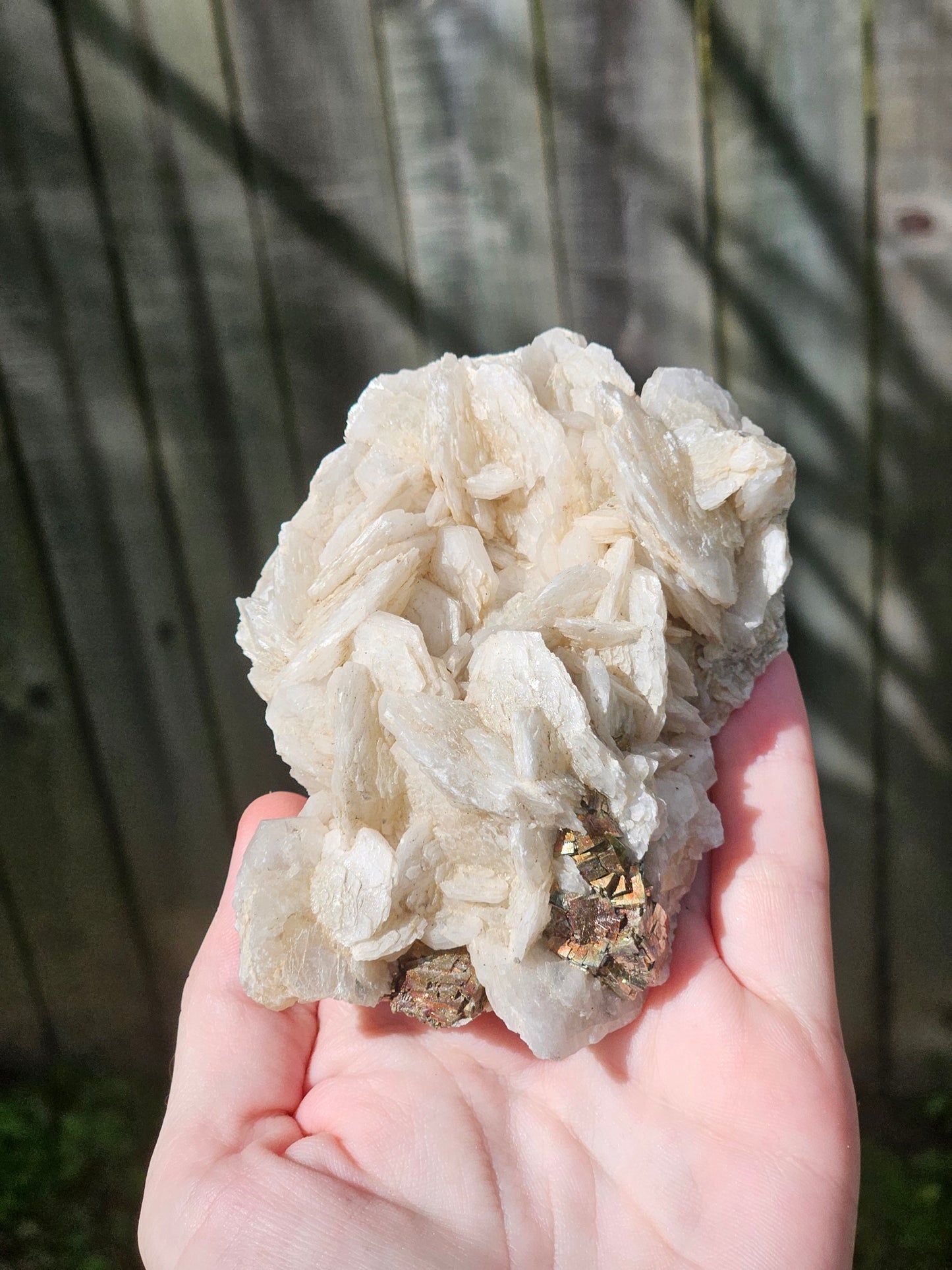 Pyrite on Calcite Specimen B