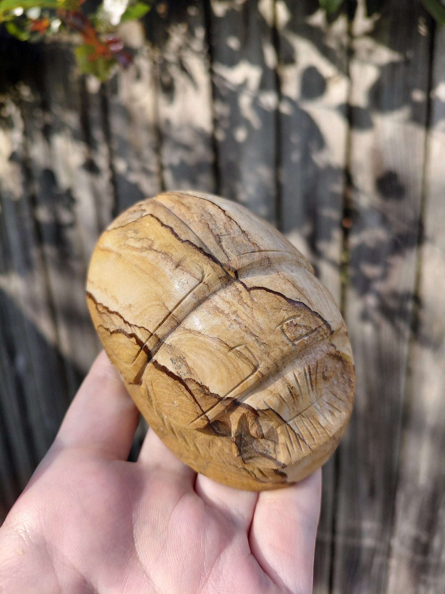 Picture Jasper Scarab Beetles - Large - ☥ Intuitively Chosen ☥