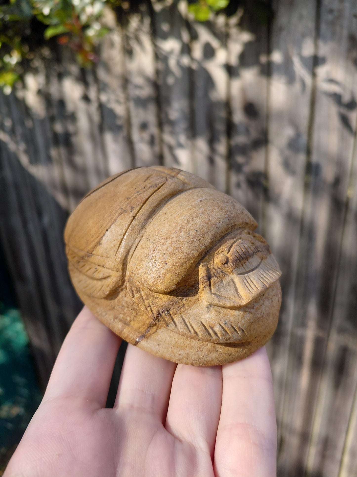 Picture Jasper Scarab Beetles - Large - ☥ Intuitively Chosen ☥