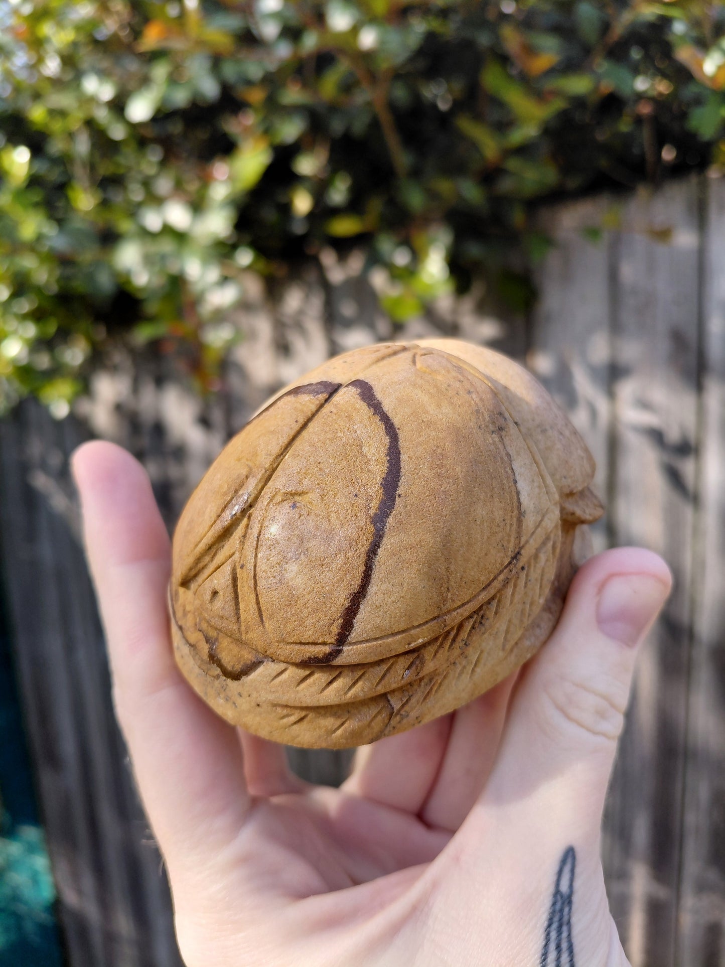 Picture Jasper Scarab Beetles - Large - ☥ Intuitively Chosen ☥