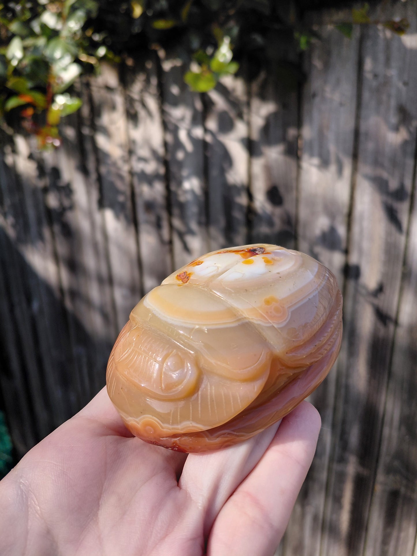 Carnelian Scarab Beetle - Large