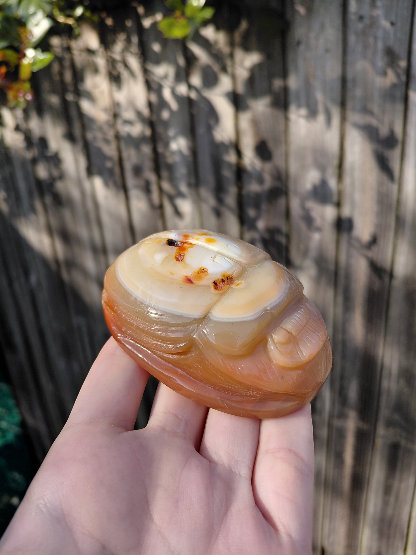 Carnelian Scarab Beetle - Large