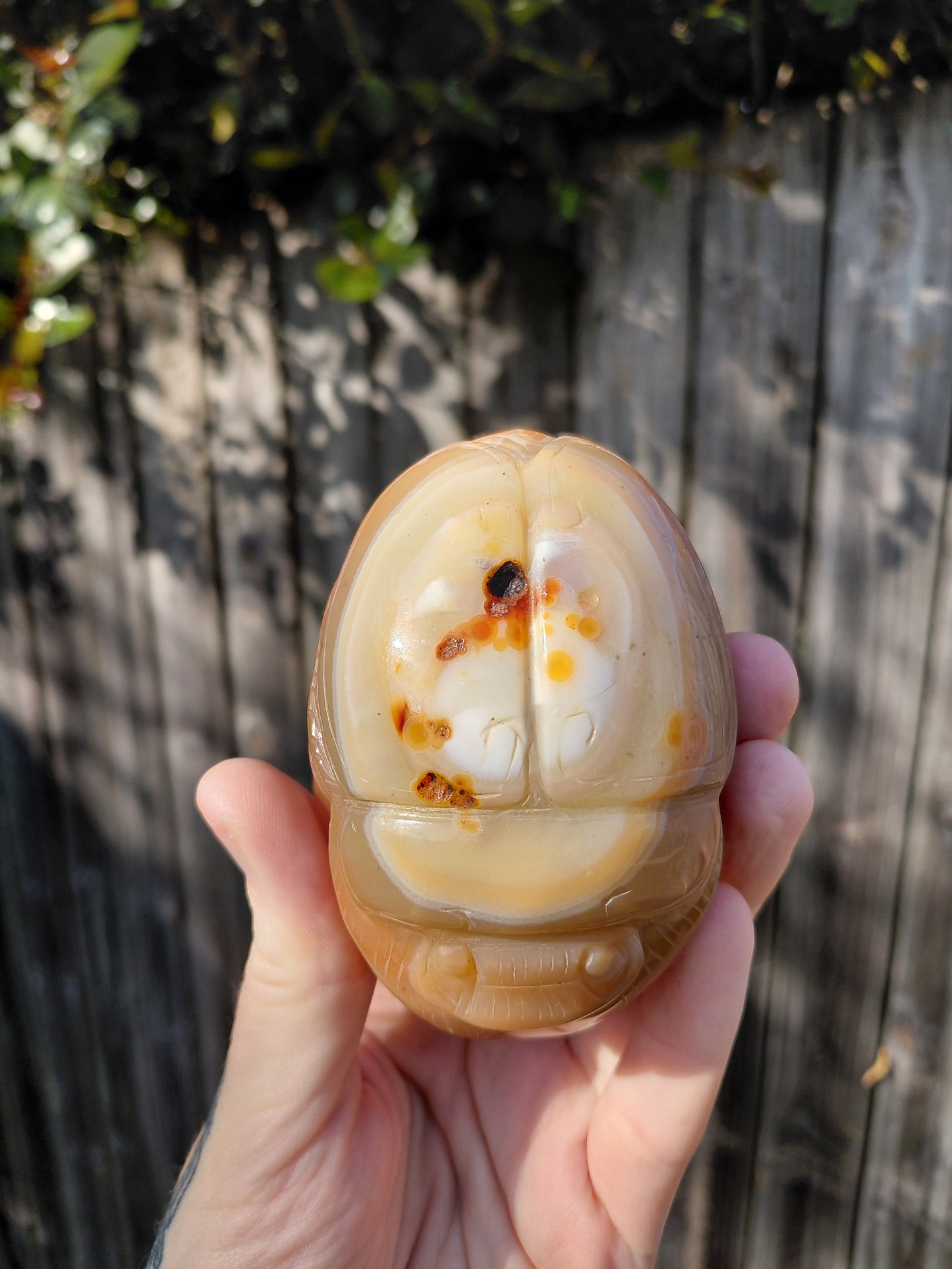 Carnelian Scarab Beetle - Large