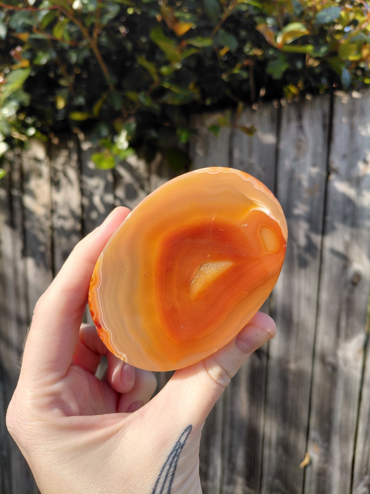 Carnelian Scarab Beetle - Large