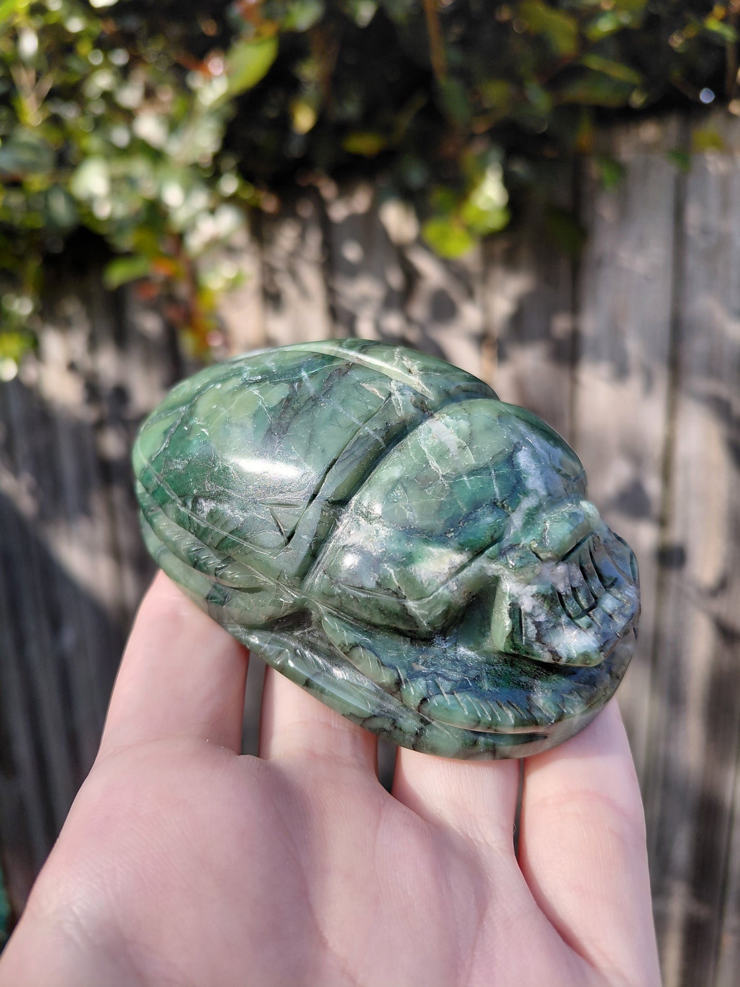 Serpentine Scarab Beetle - Large