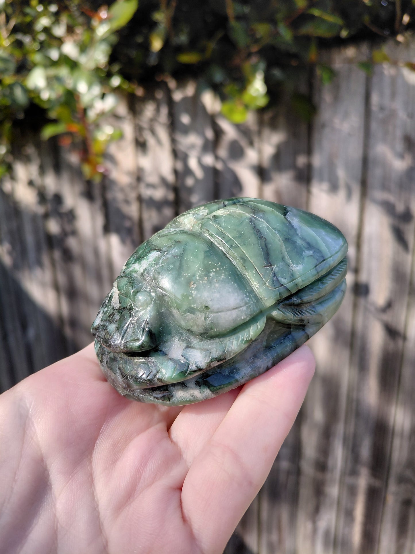Serpentine Scarab Beetle - Large