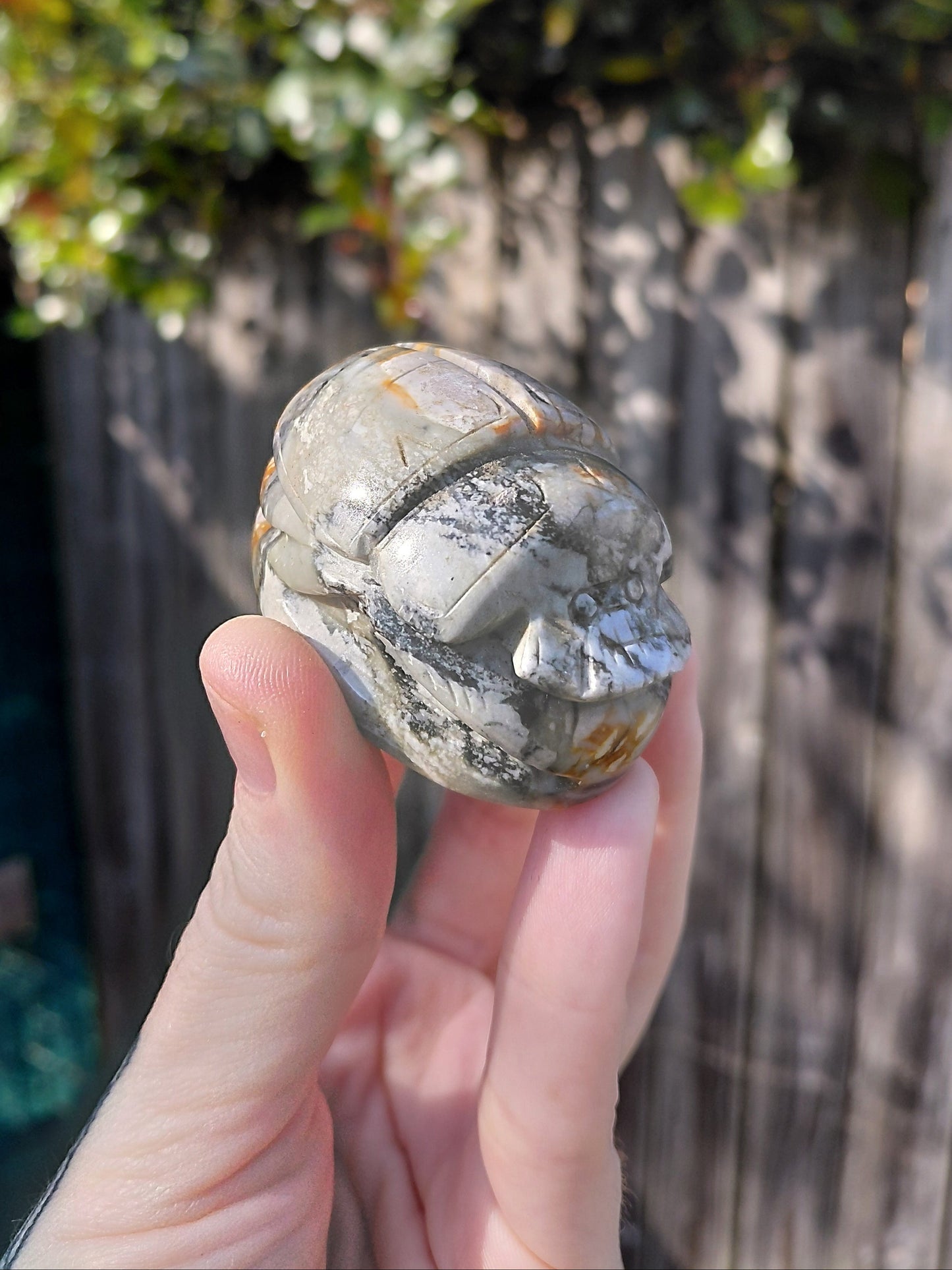 Agate Scarab Beetle - Mini B