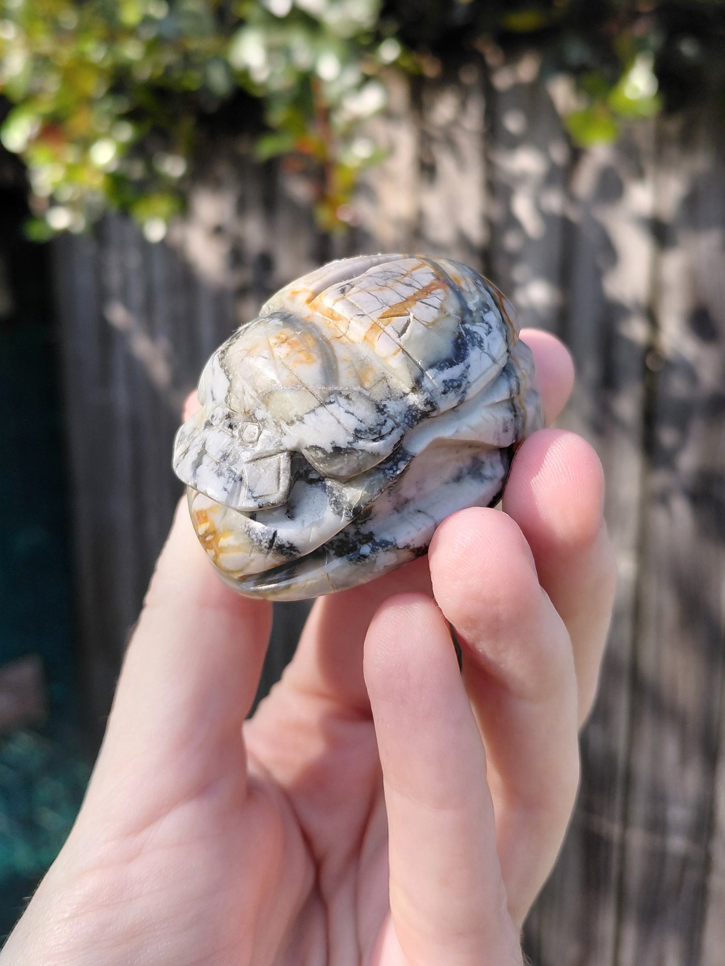 Agate Scarab Beetle - Mini B