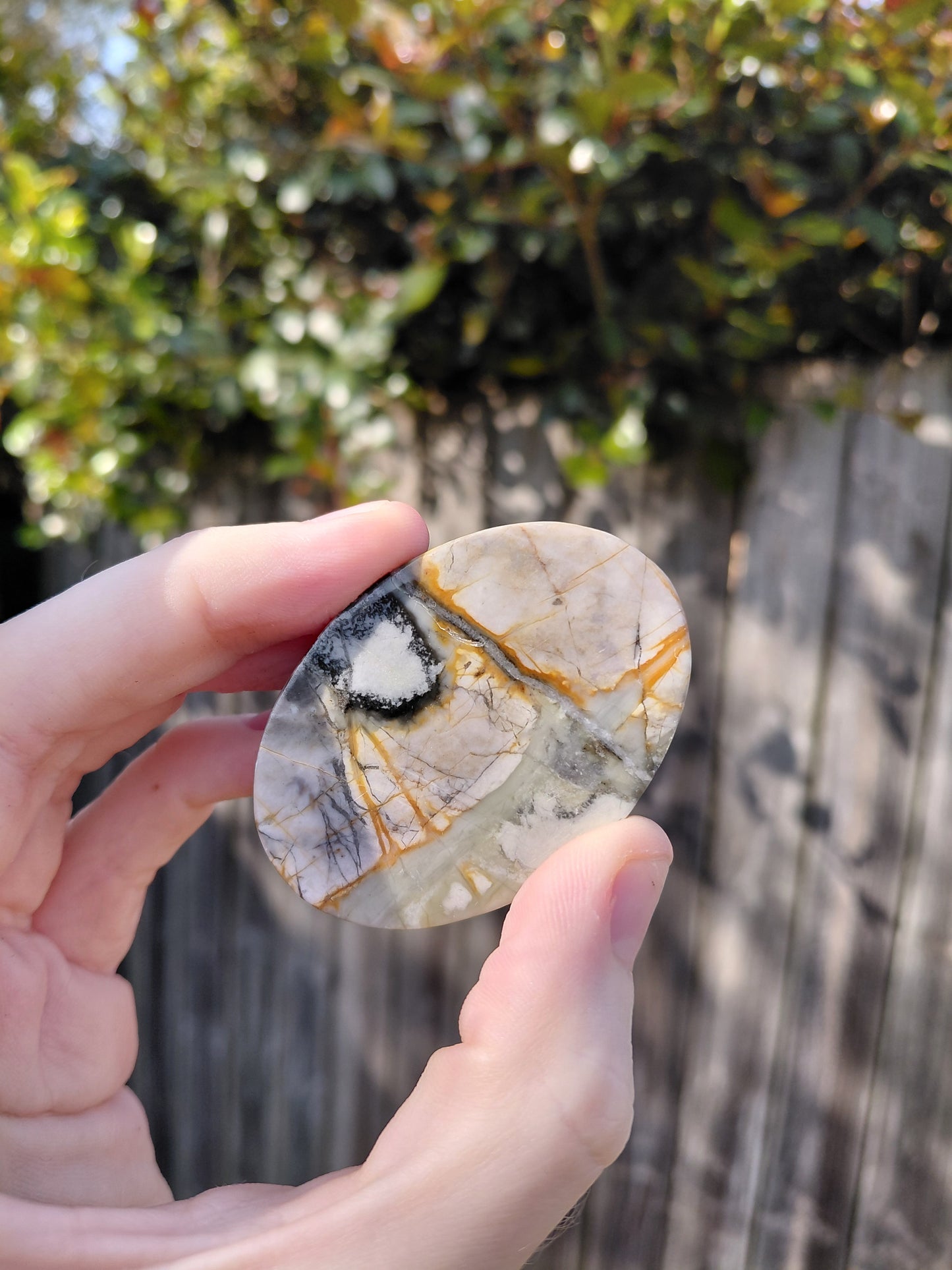 Agate Scarab Beetle - Mini B