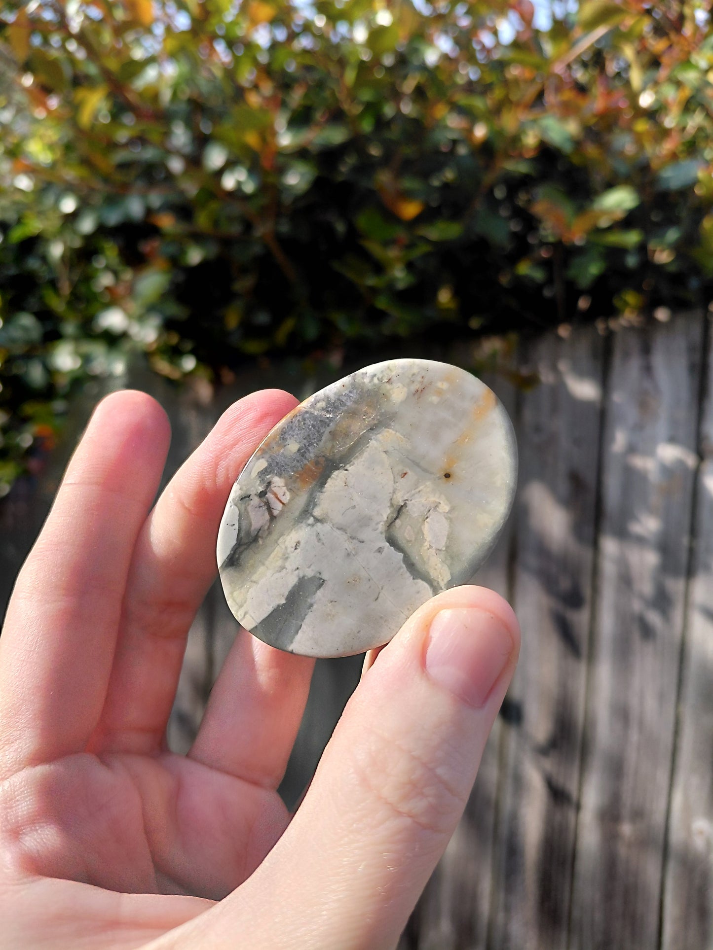 Agate Scarab Beetle - Mini A