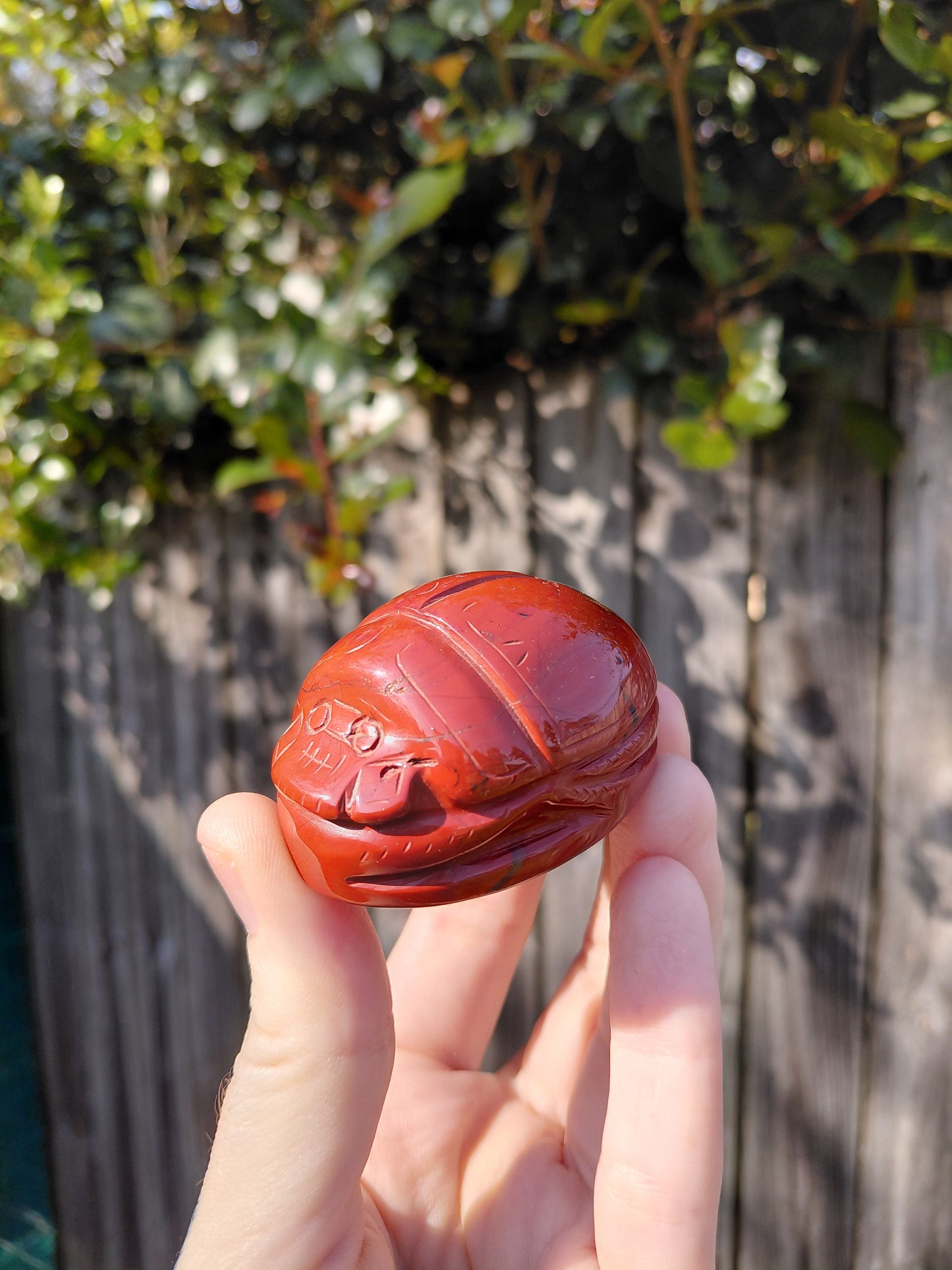Red Jasper Scarab Beetle - Mini A