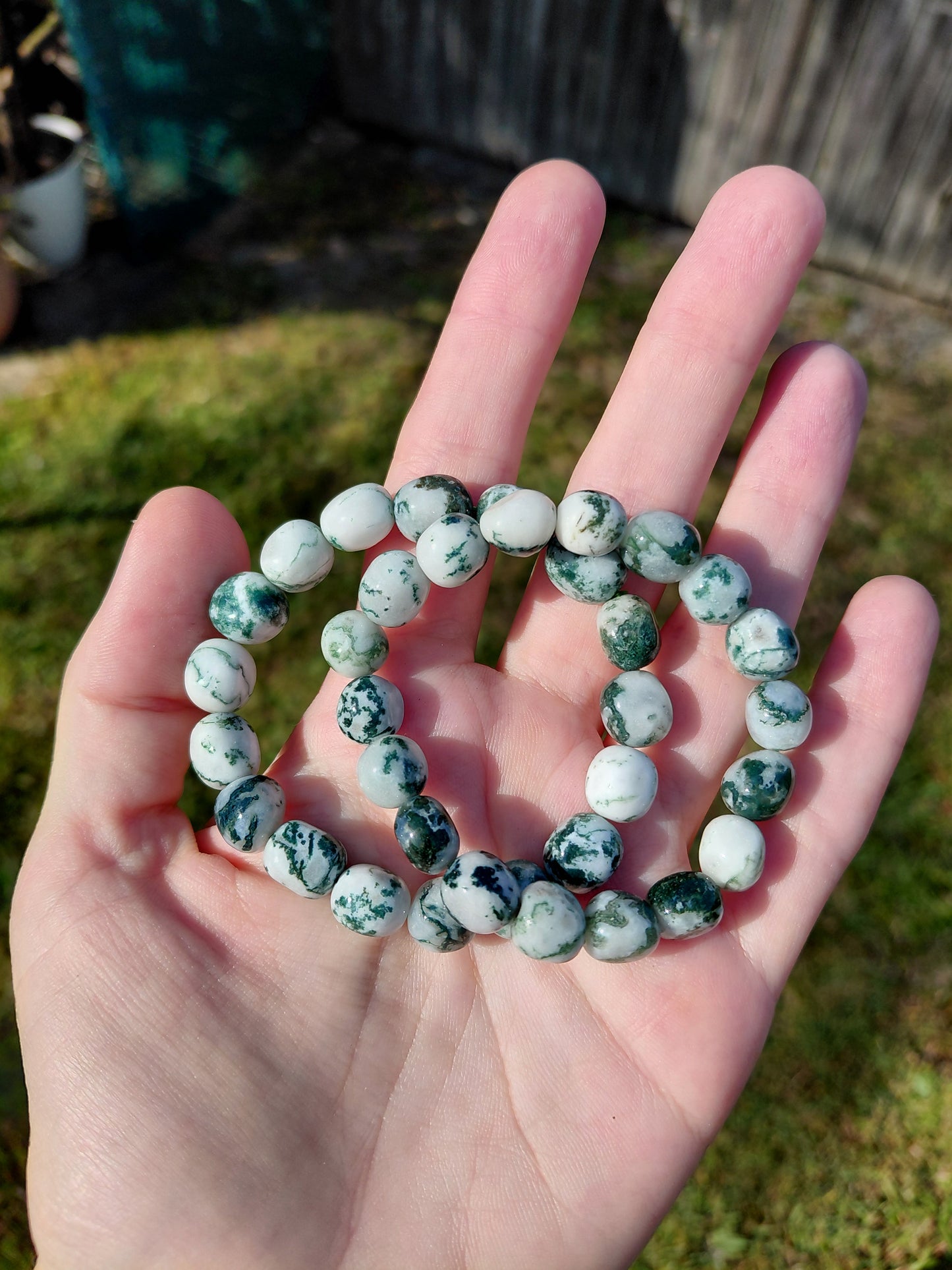 Tree Agate Tumbled Bracelets