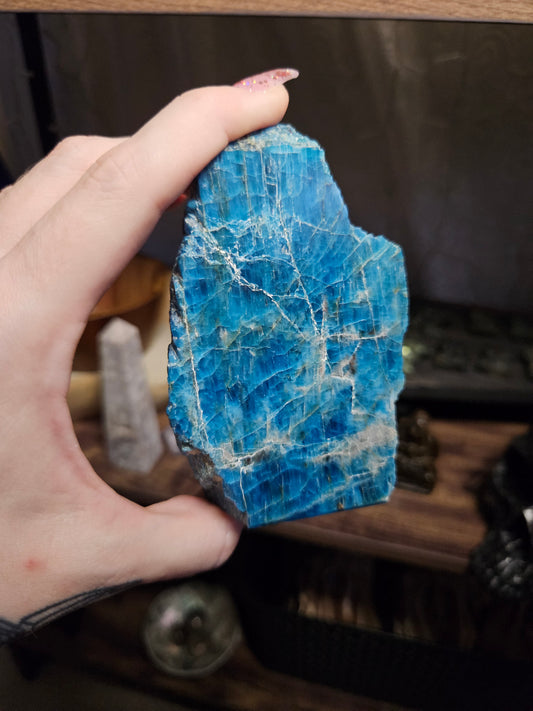 *MUST GO* *DISCOUNTED* Blue Apatite Half-Polished Freeform A