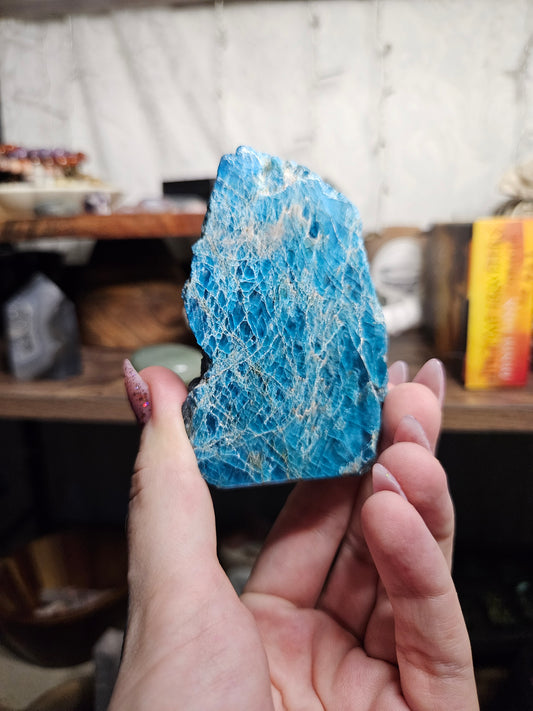 *MUST GO* *DISCOUNTED* Blue Apatite Half-Polished Freeform B