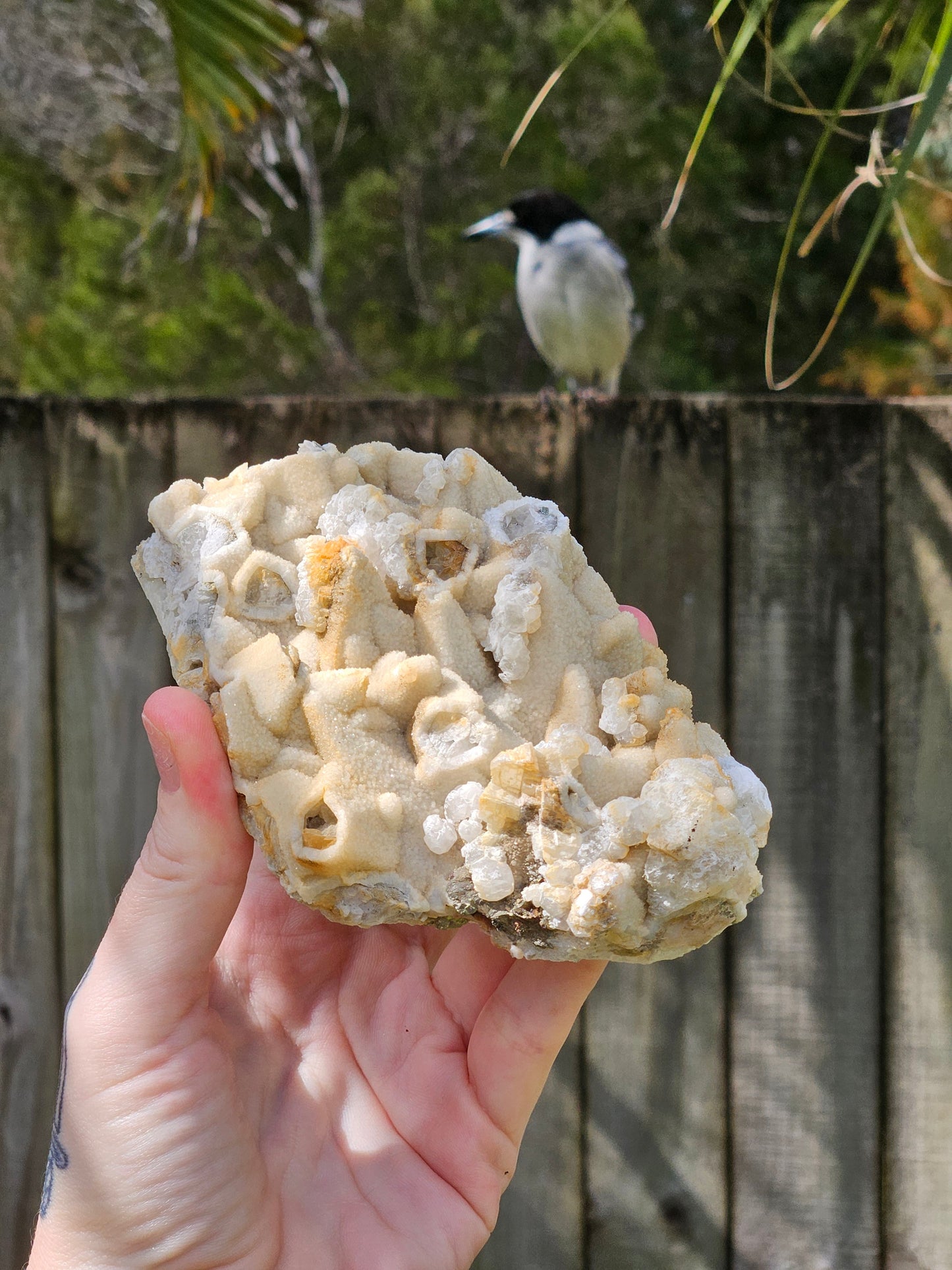 Pyrite on Calcite Specimen A