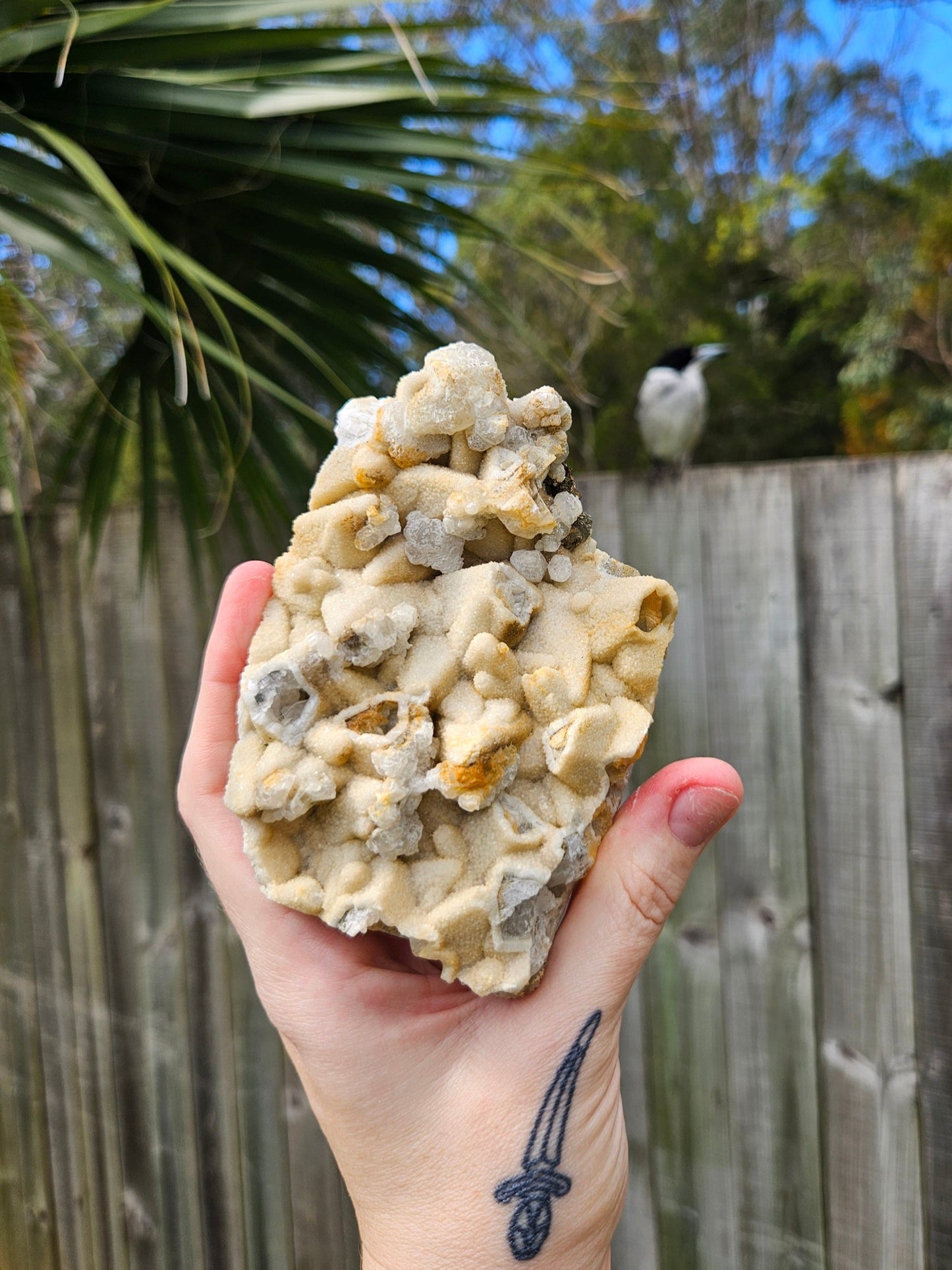 Pyrite on Calcite Specimen A