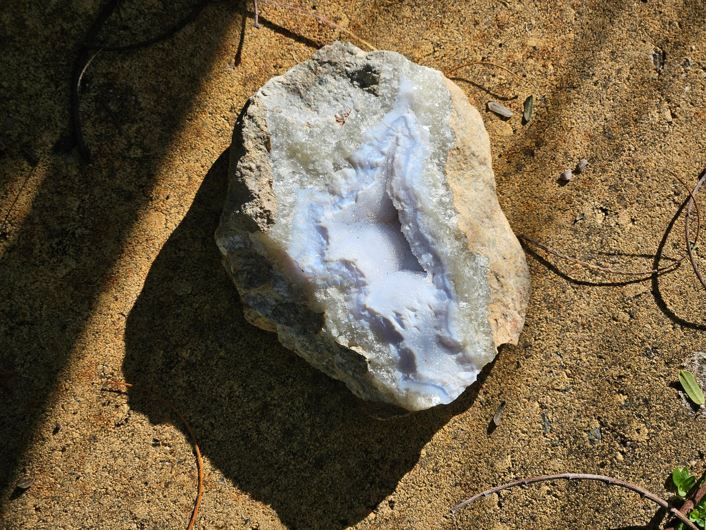 Blue Lace Agate Rough Specimens