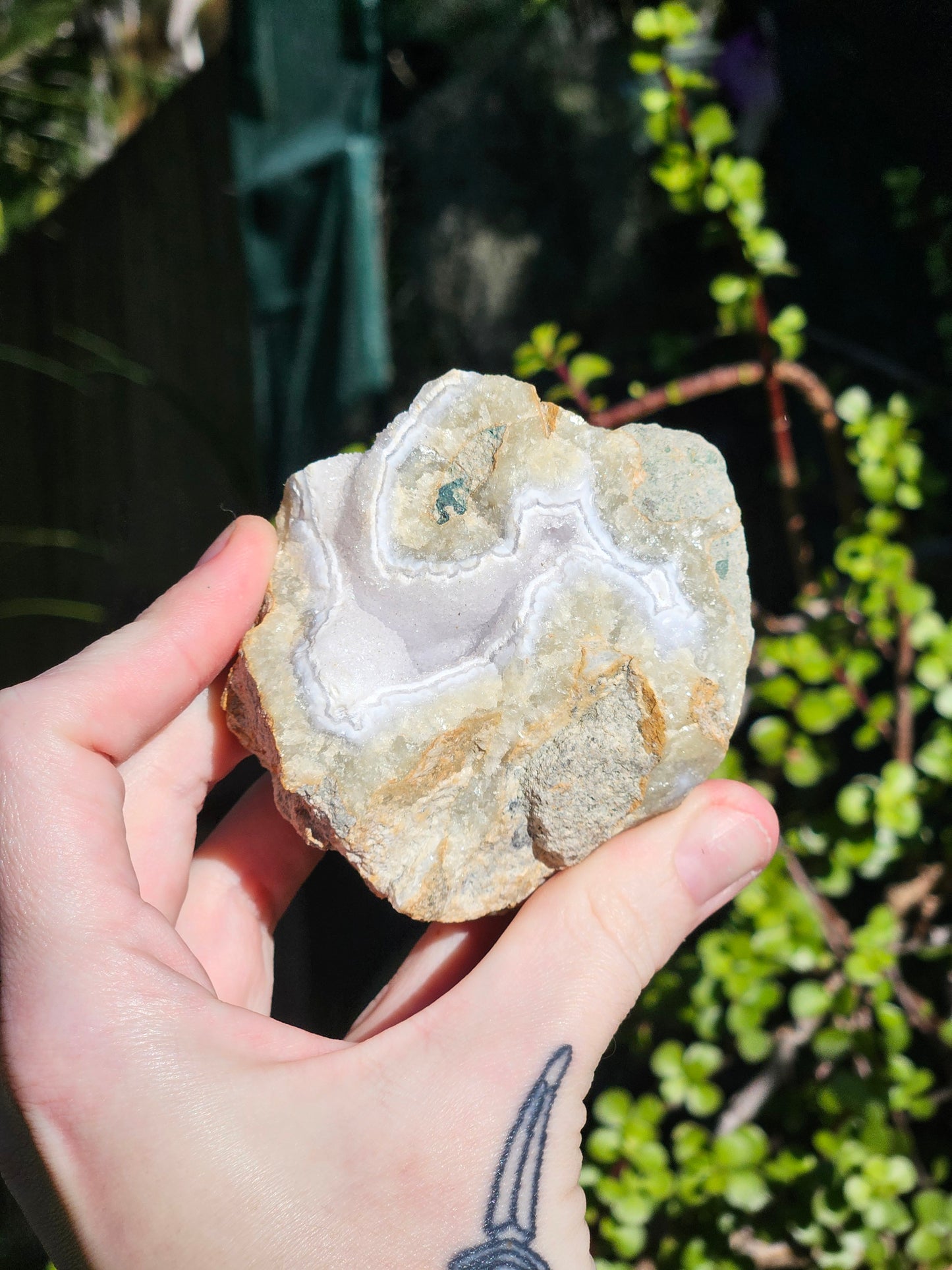Blue Lace Agate Rough Specimens