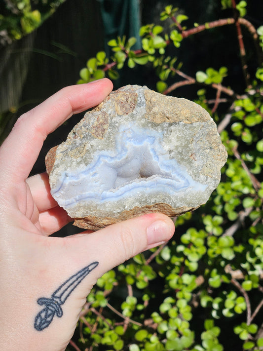 Blue Lace Agate Rough Specimens
