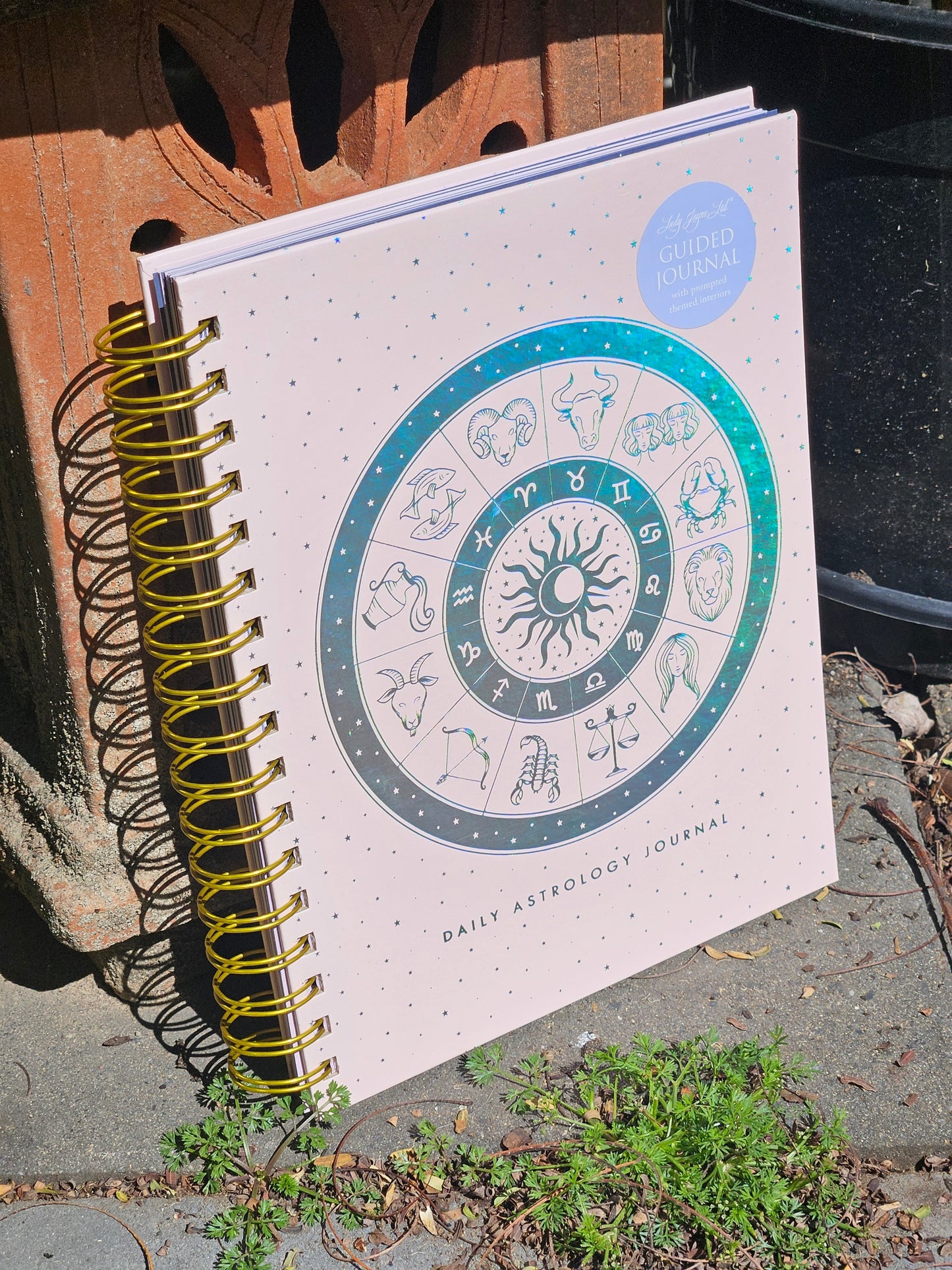 Astrology Manifestation Journal