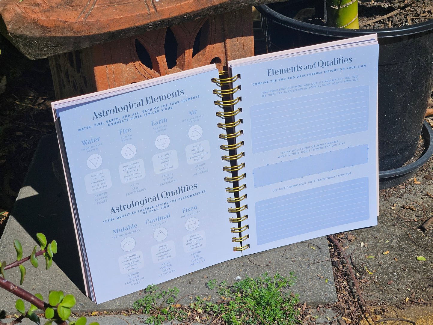 Astrology Manifestation Journal