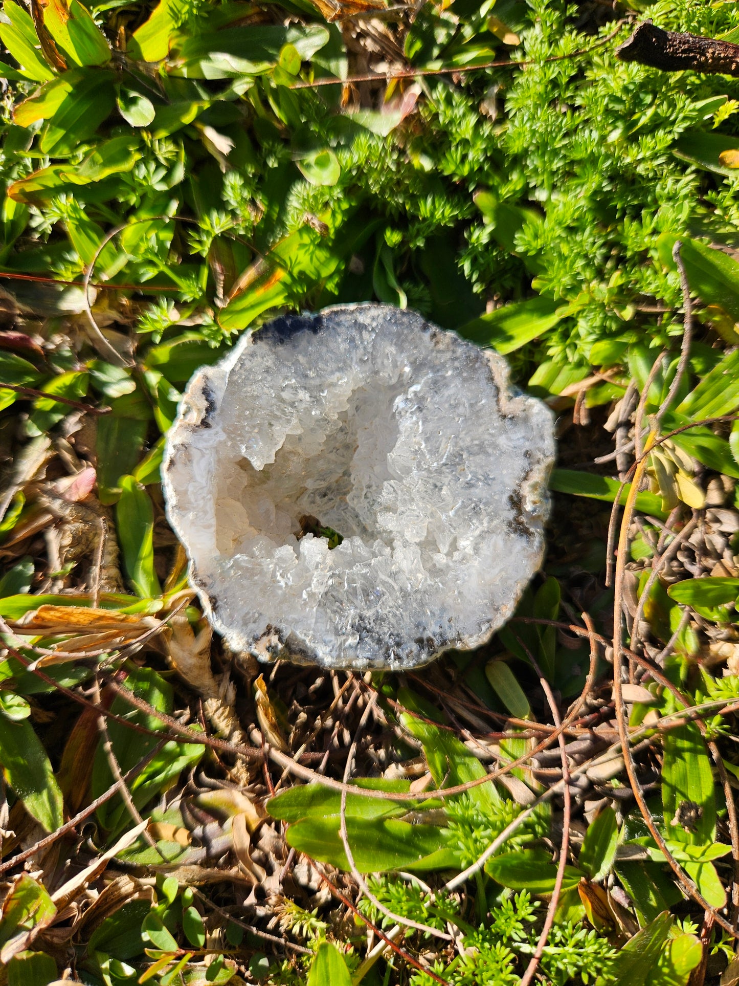 Tiny Agate Geode Slice