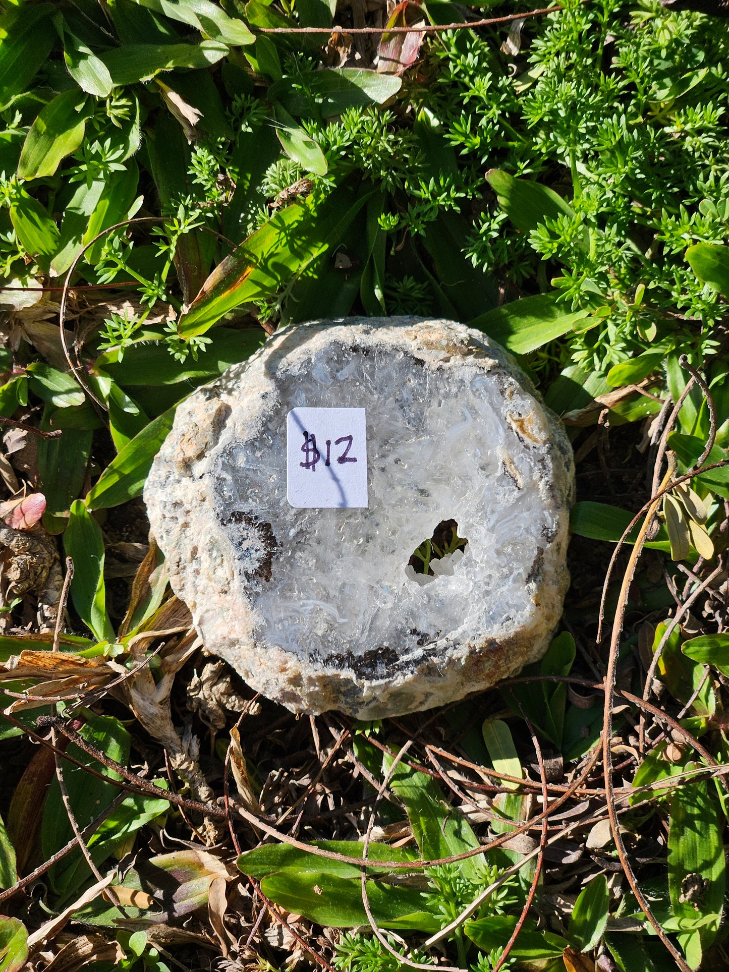 Tiny Agate Geode Slice