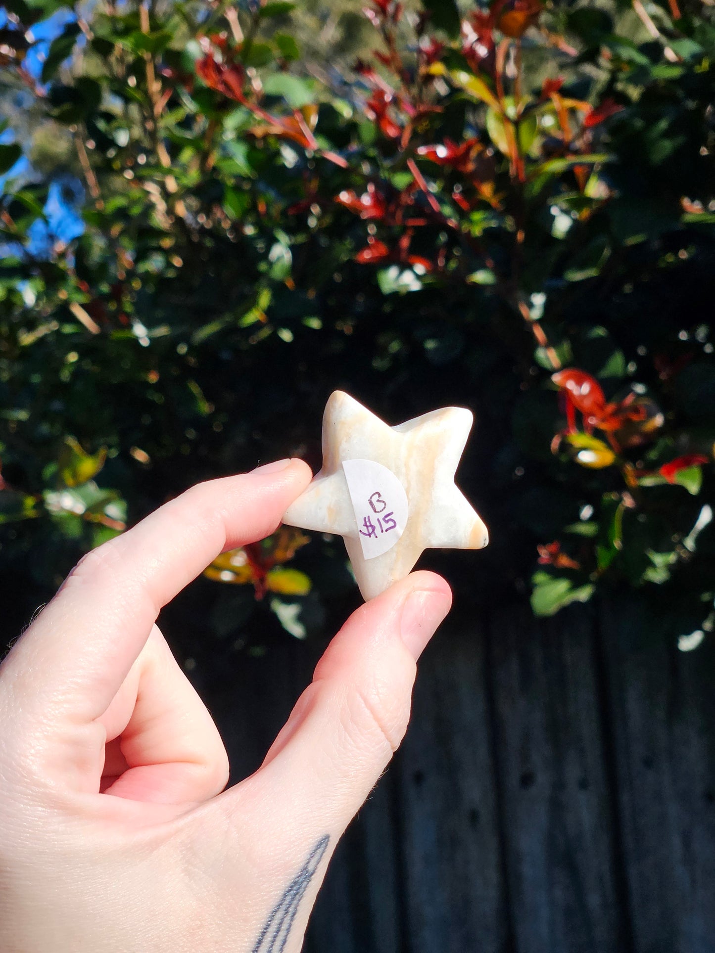 Caribbean Calcite Mini Stars