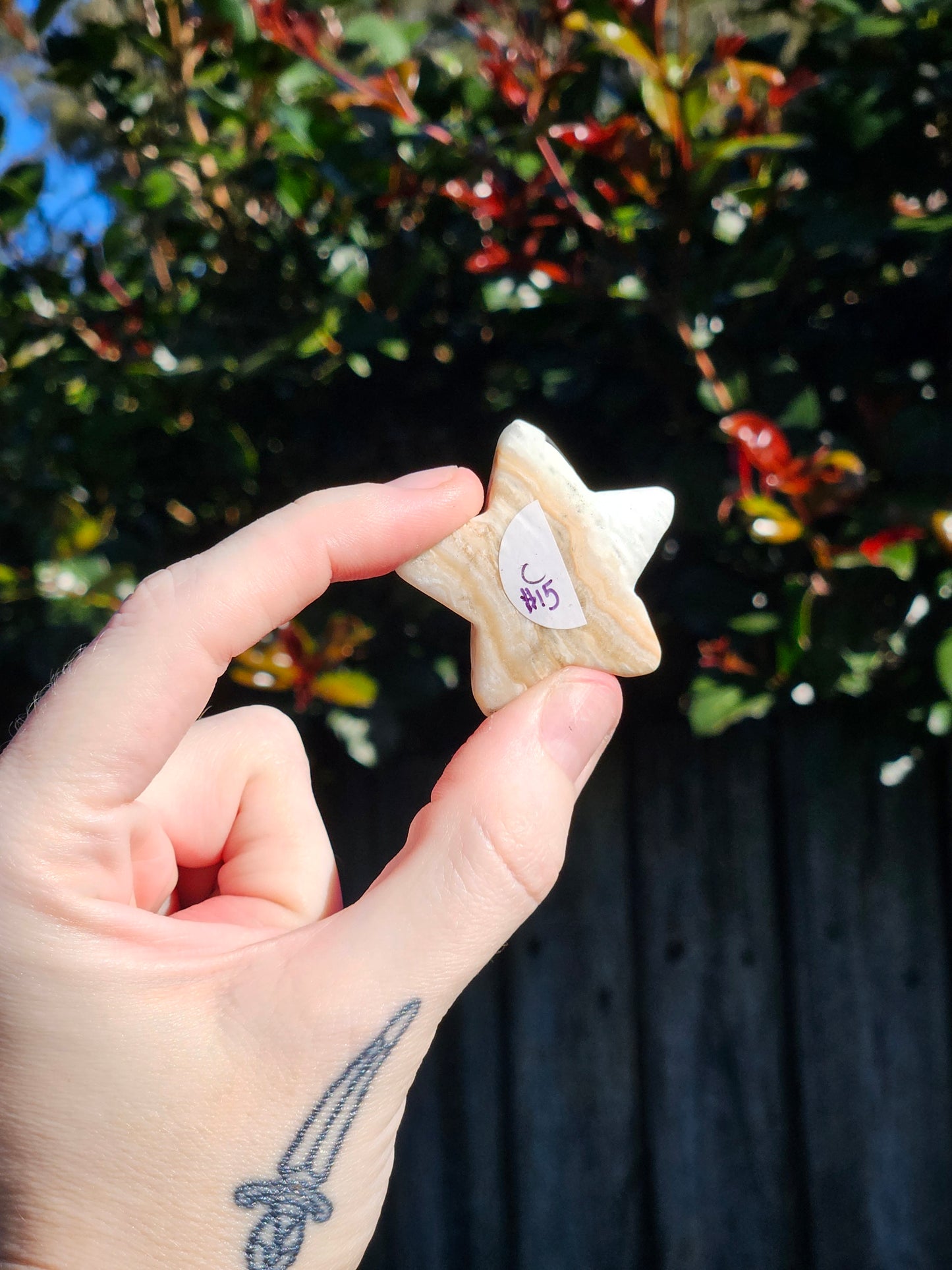Caribbean Calcite Mini Stars