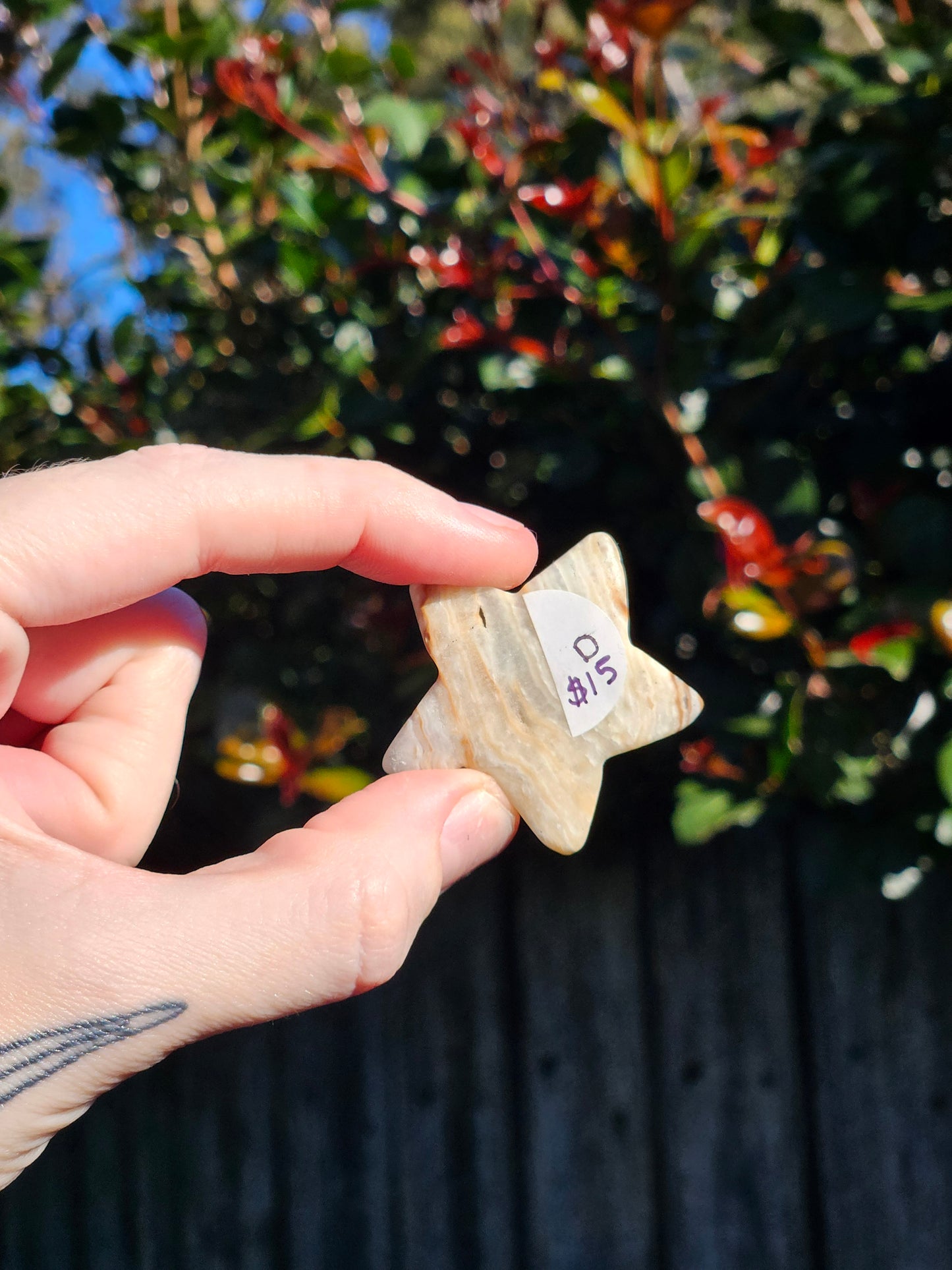 Caribbean Calcite Mini Stars