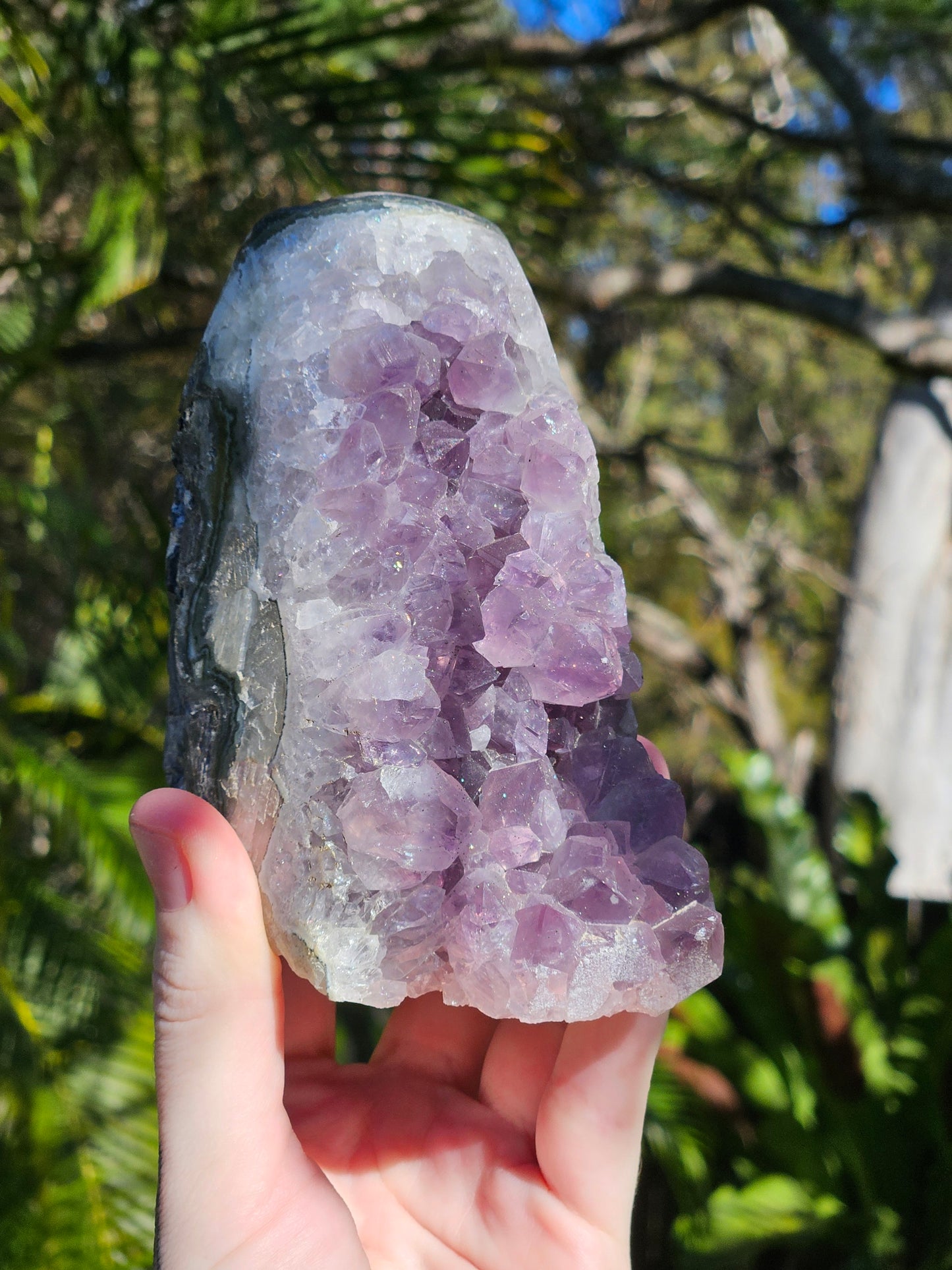 Amethyst Polished Edge Cluster w/ Pyrite Flecks from Brazil