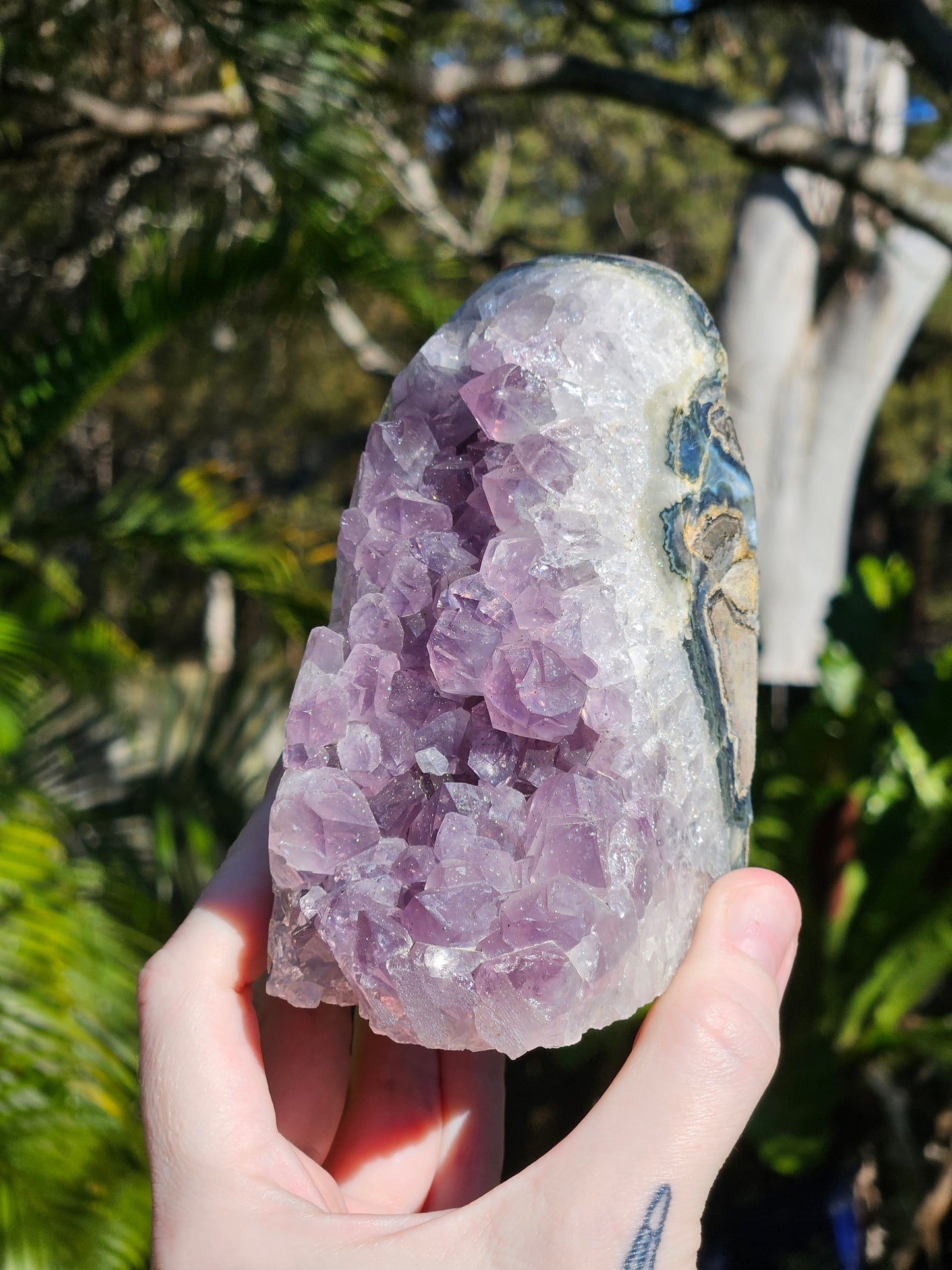 Amethyst Polished Edge Cluster w/ Pyrite Flecks from Brazil