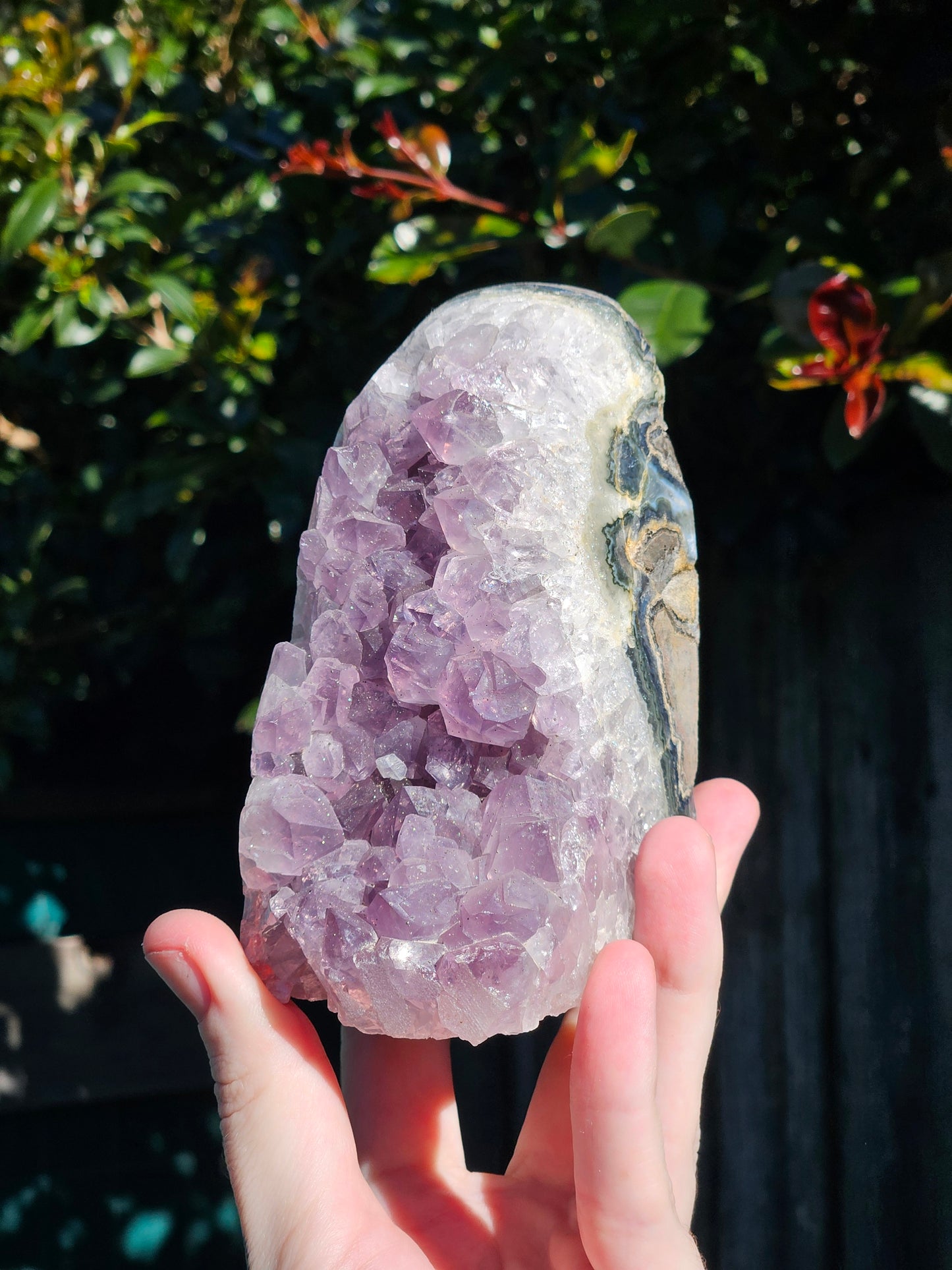 Amethyst Polished Edge Cluster w/ Pyrite Flecks from Brazil