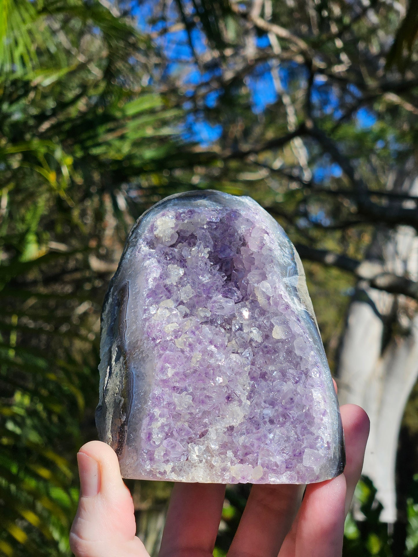 Amethyst Polished Edge Cluster w/ Quartz from Brazil