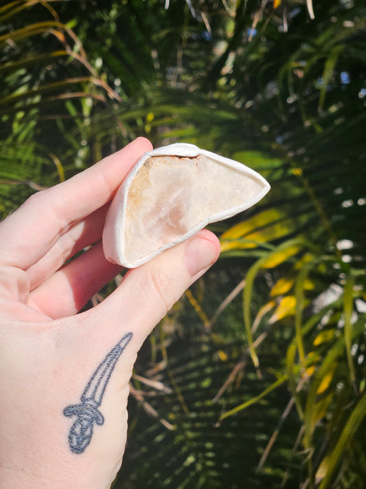 Pink Amethyst Specimen D