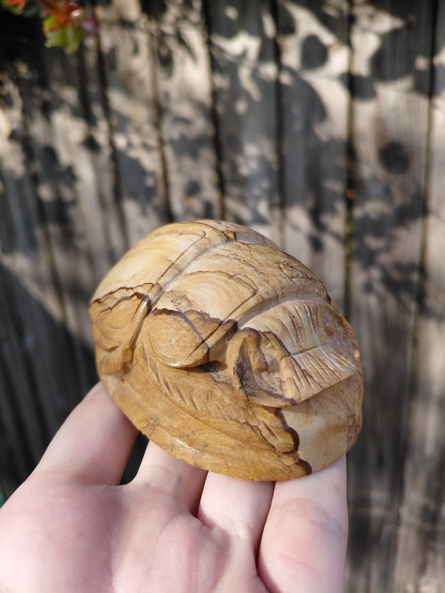 Picture Jasper Scarab Beetles - Large - ☥ Intuitively Chosen ☥