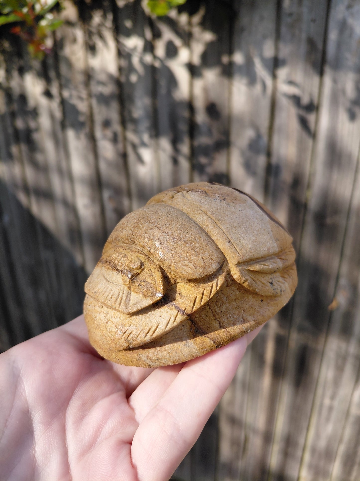 Picture Jasper Scarab Beetles - Large - ☥ Intuitively Chosen ☥
