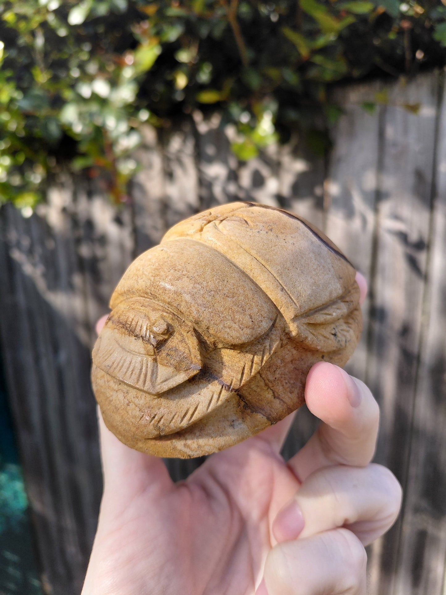 Picture Jasper Scarab Beetles - Large - ☥ Intuitively Chosen ☥