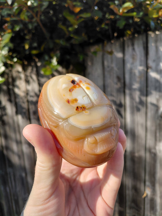 Carnelian Scarab Beetle - Large