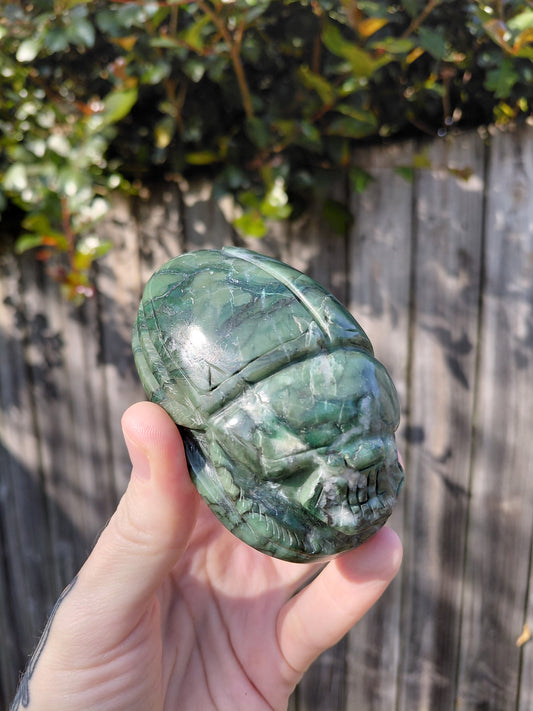 Serpentine Scarab Beetle - Large