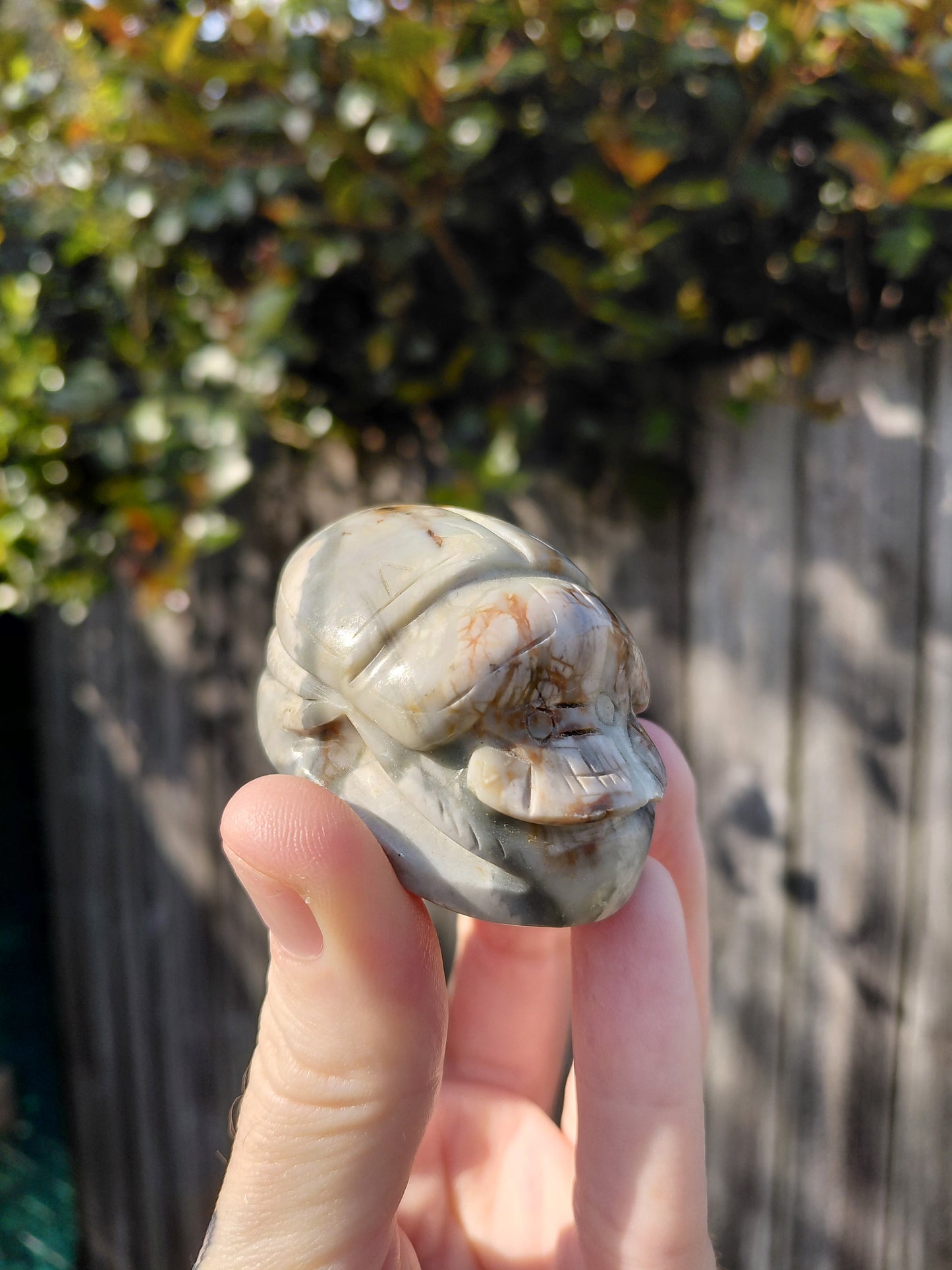 Agate Scarab Beetle - Mini A