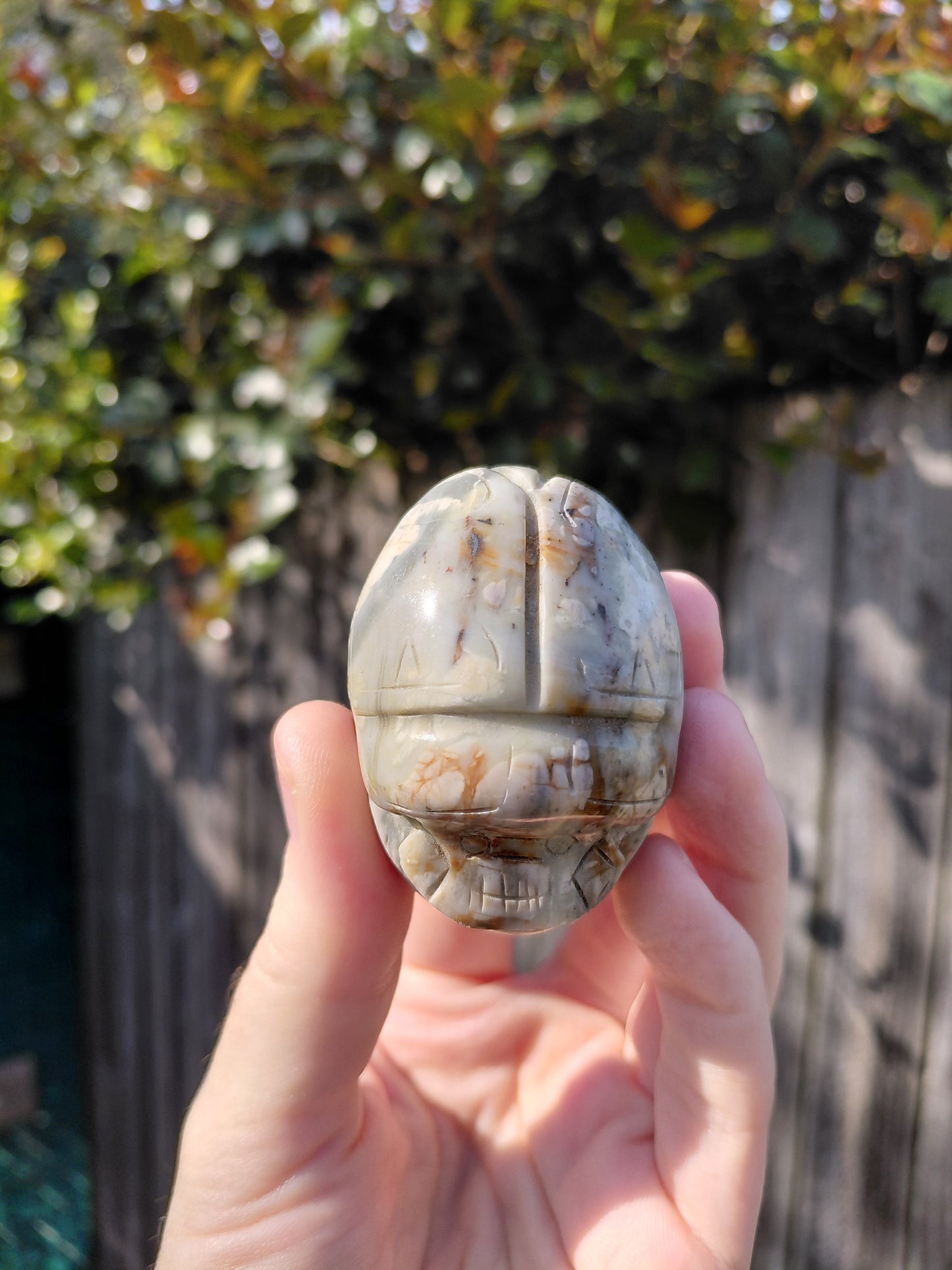 Agate Scarab Beetle - Mini A