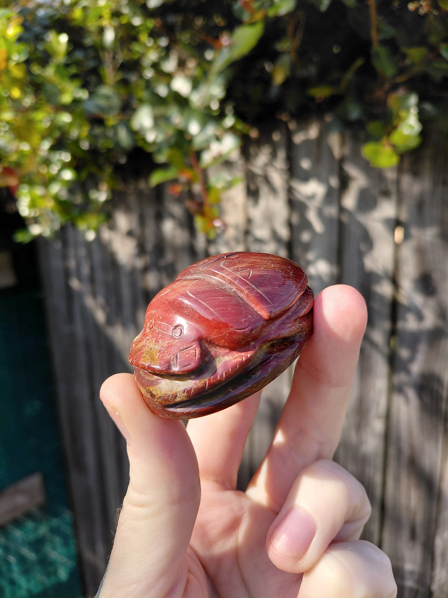 Red Jasper Scarab Beetle - Mini B