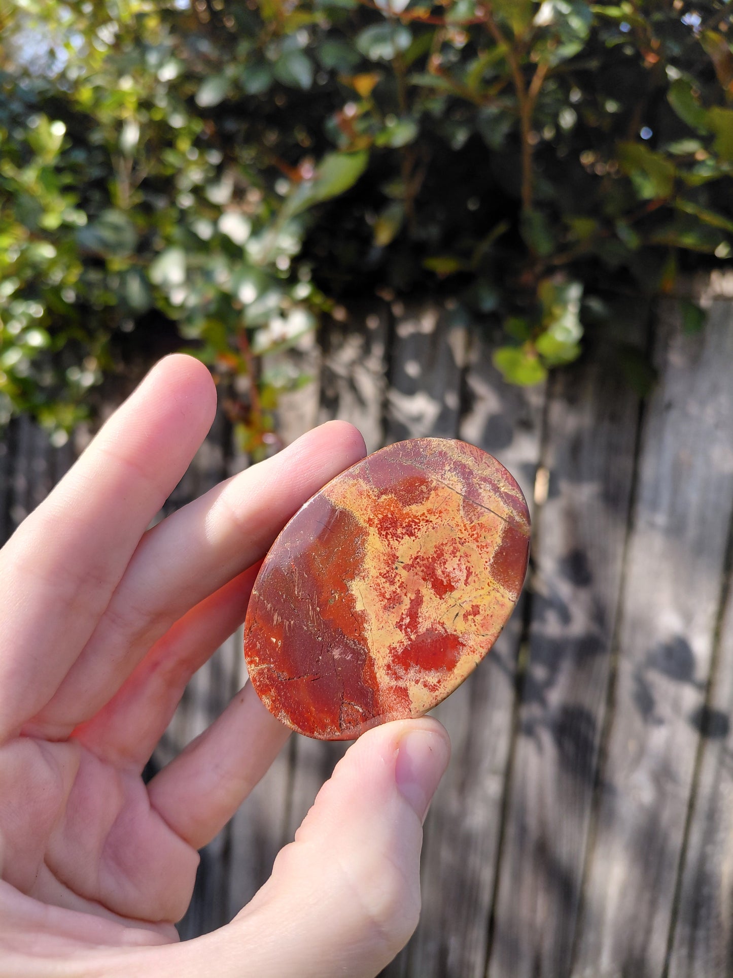 Red Jasper Scarab Beetle - Mini B