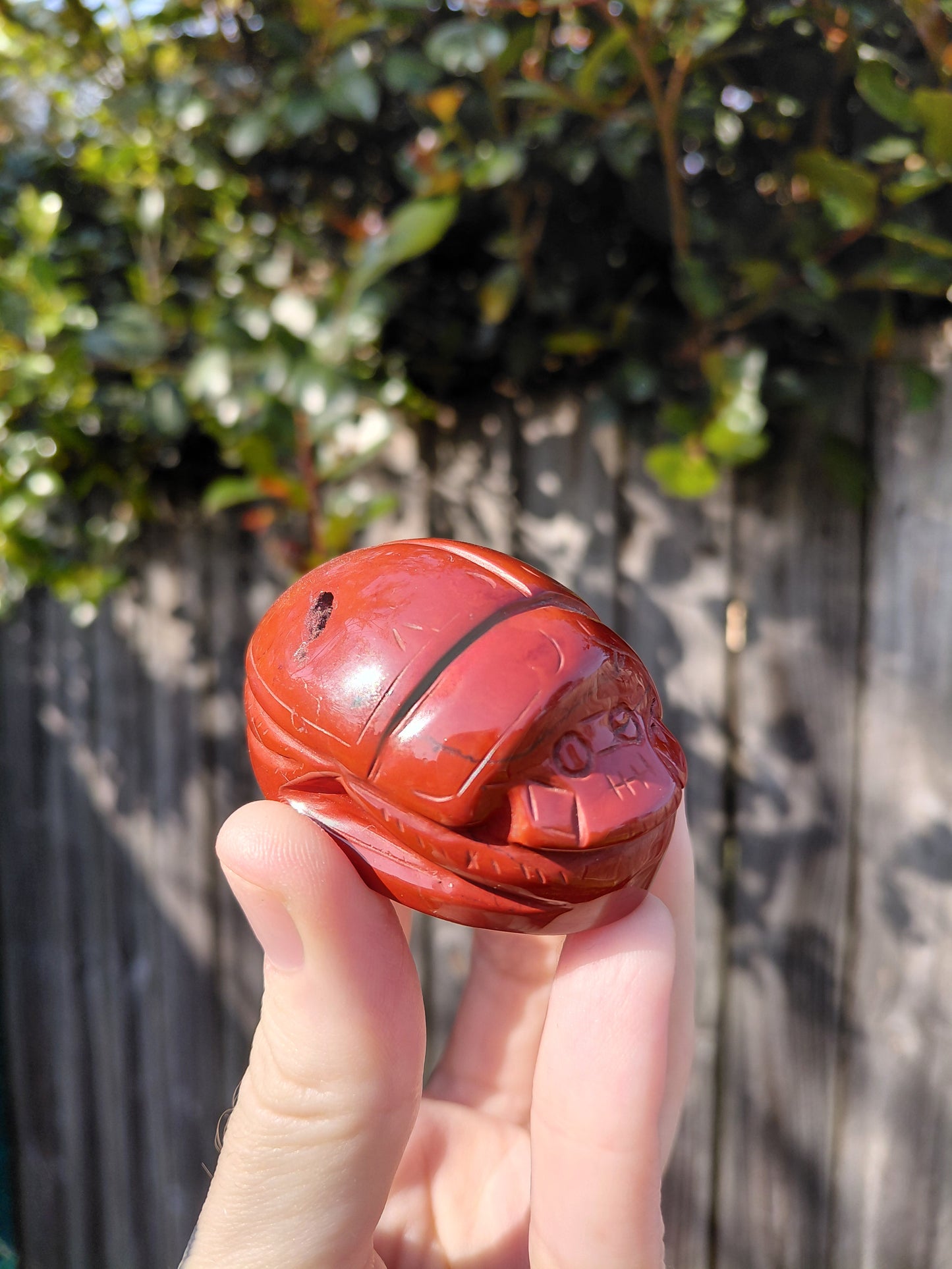 Red Jasper Scarab Beetle - Mini A
