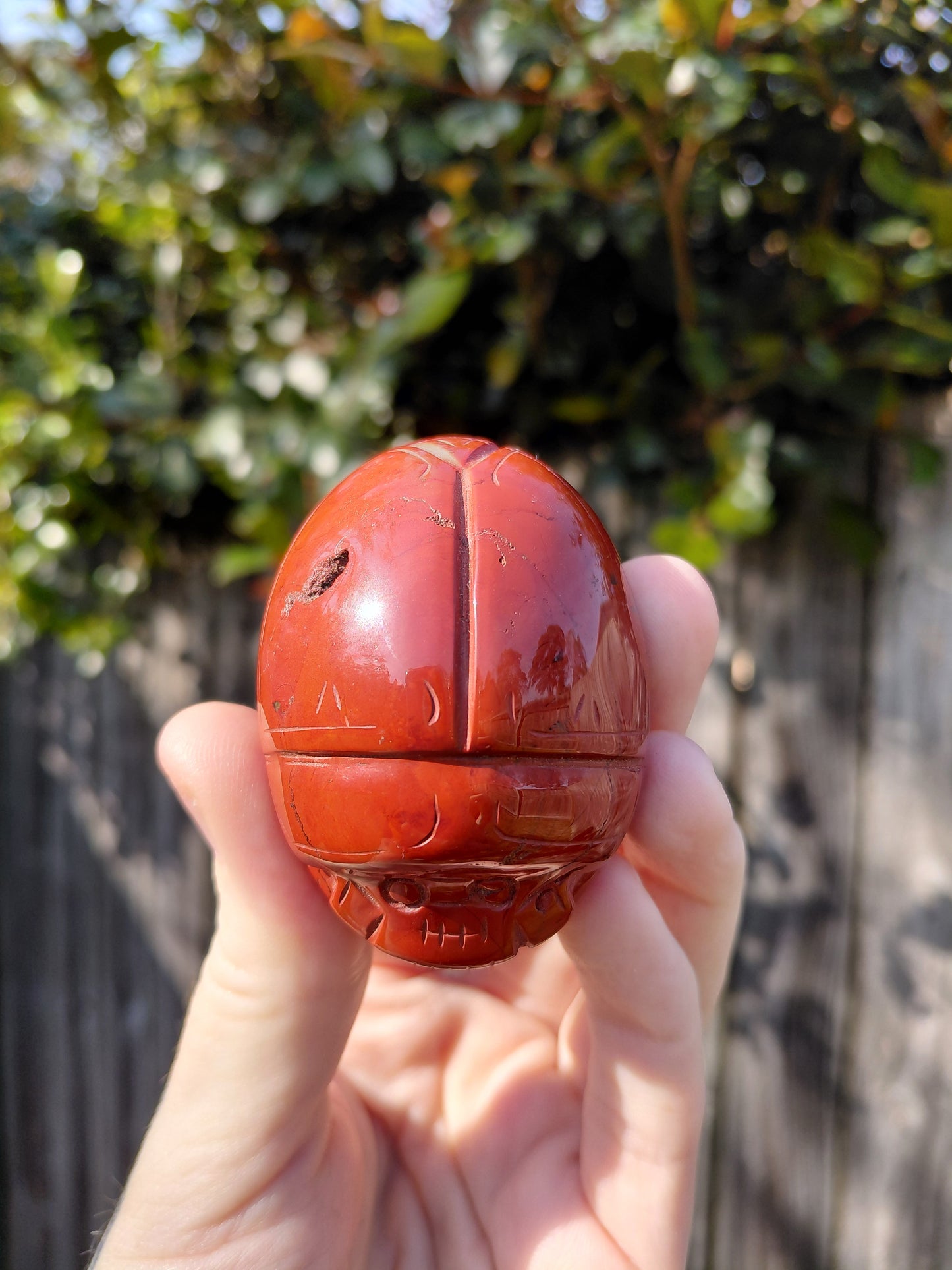 Red Jasper Scarab Beetle - Mini A