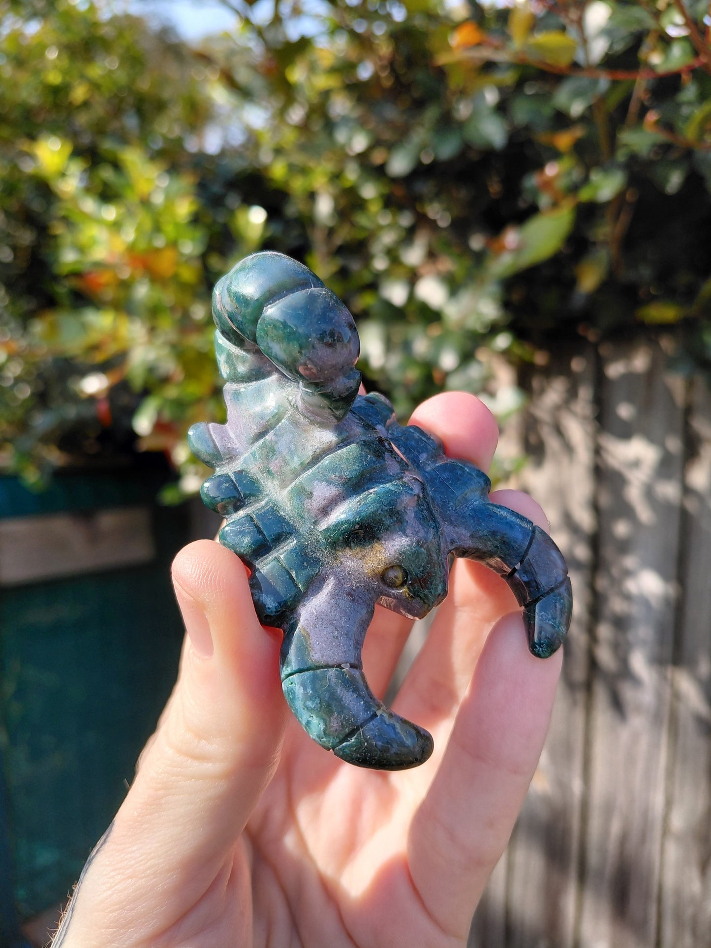 Ocean Jasper Scorpion A