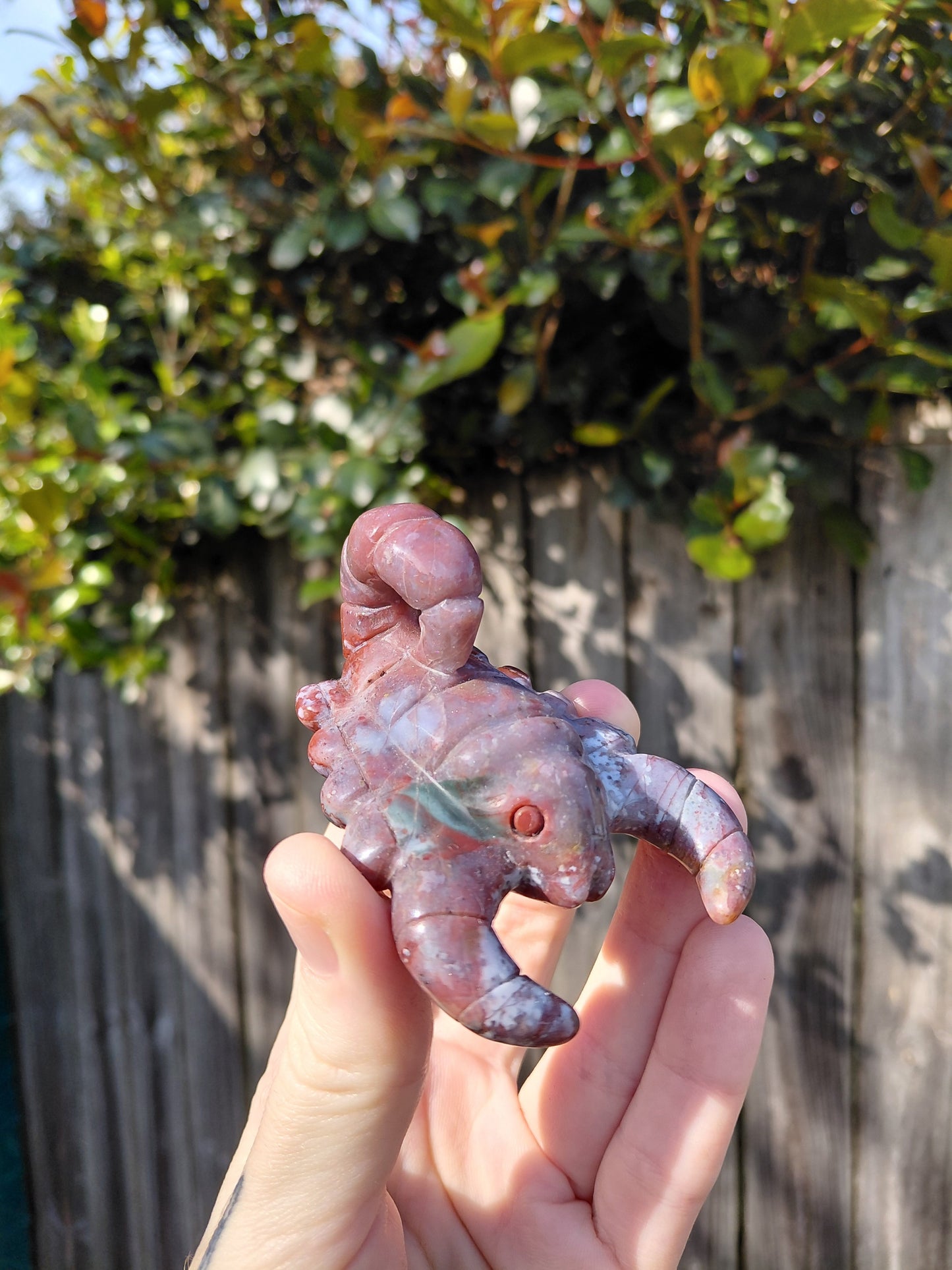 Ocean Jasper Scorpion B