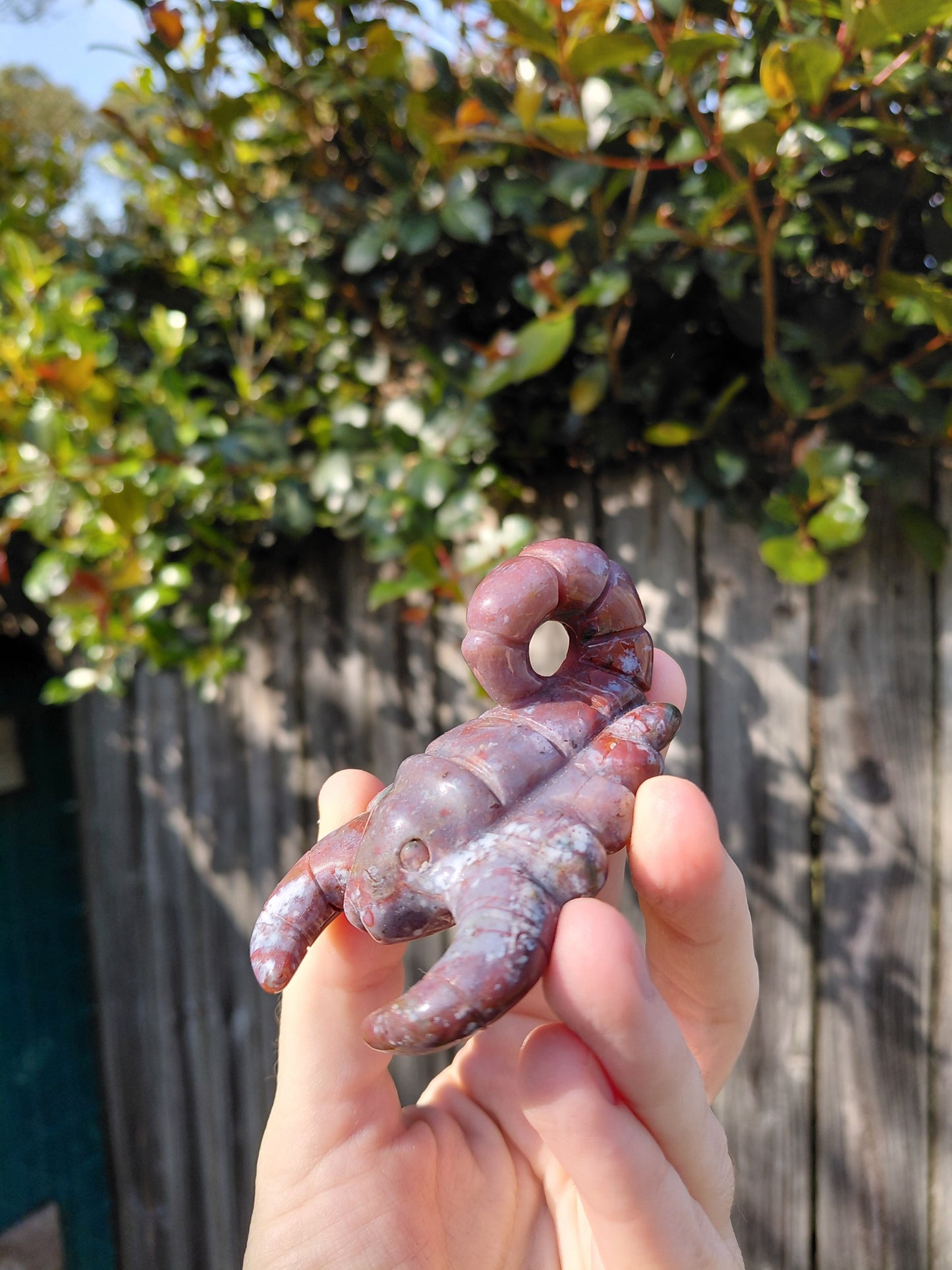 Ocean Jasper Scorpion B