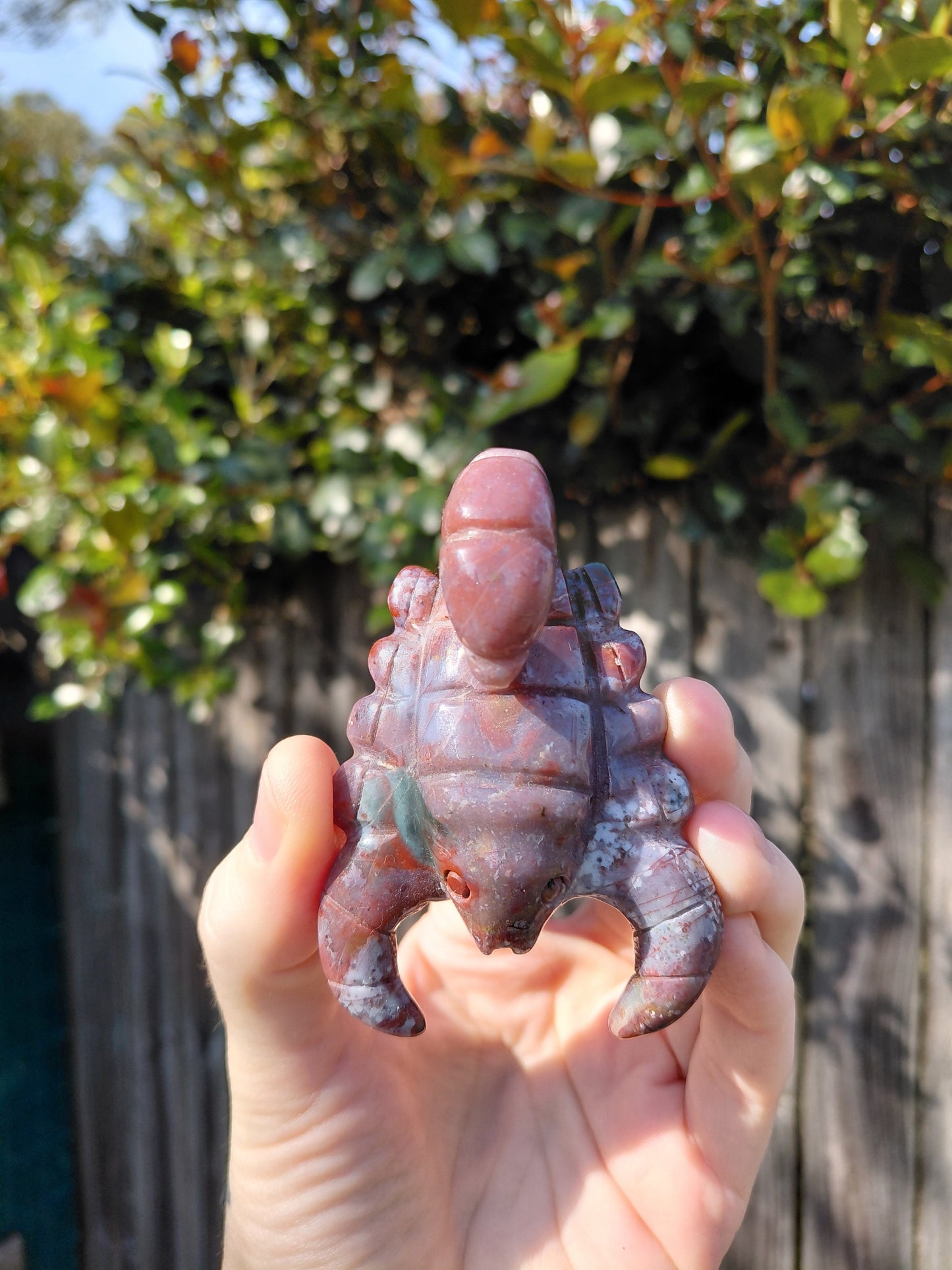 Ocean Jasper Scorpion B